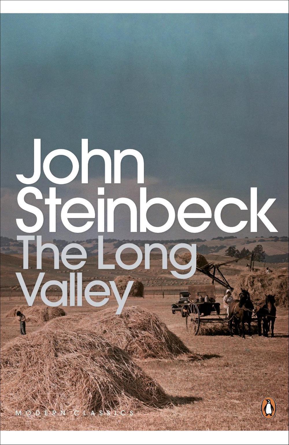The Long Valley by John Timmerman - ISBN: 9780141185514