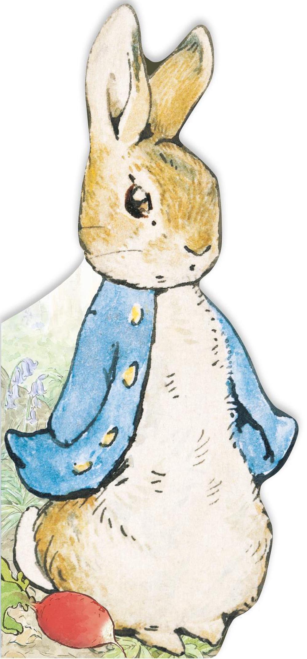 All About Peter by Beatrix Potter - ISBN: 9780141374758