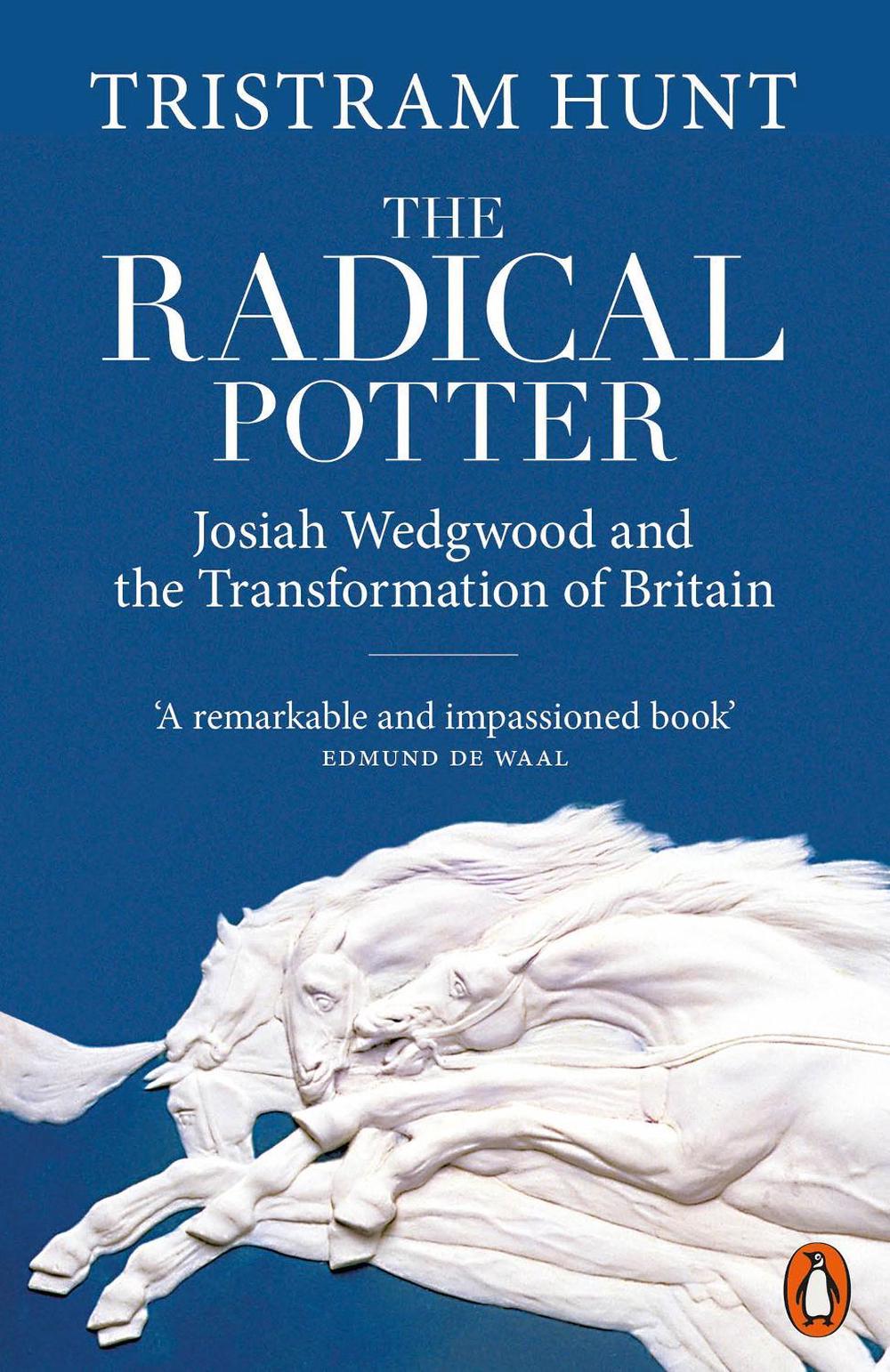 The Radical Potter, 9780141984629