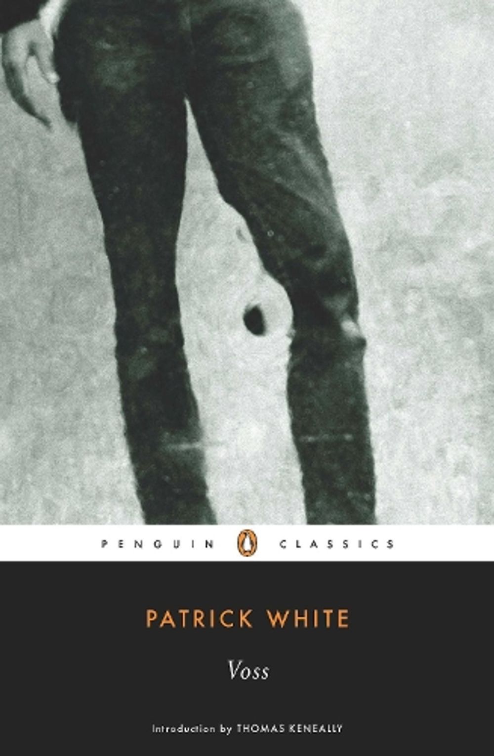 Voss by Patrick White - ISBN: 9780143105688