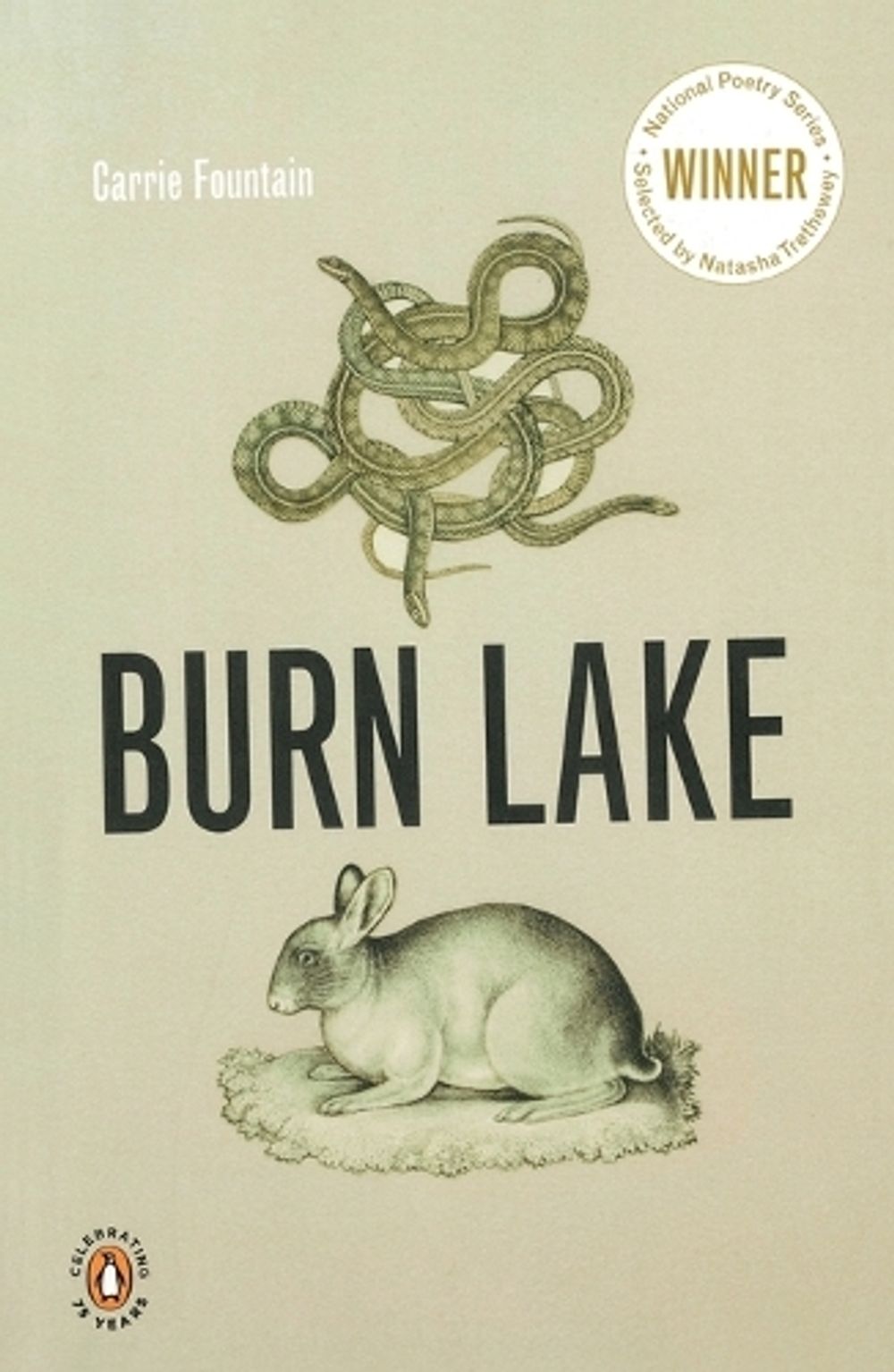Burn Lake by Carrie Fountain - ISBN: 9780143117711