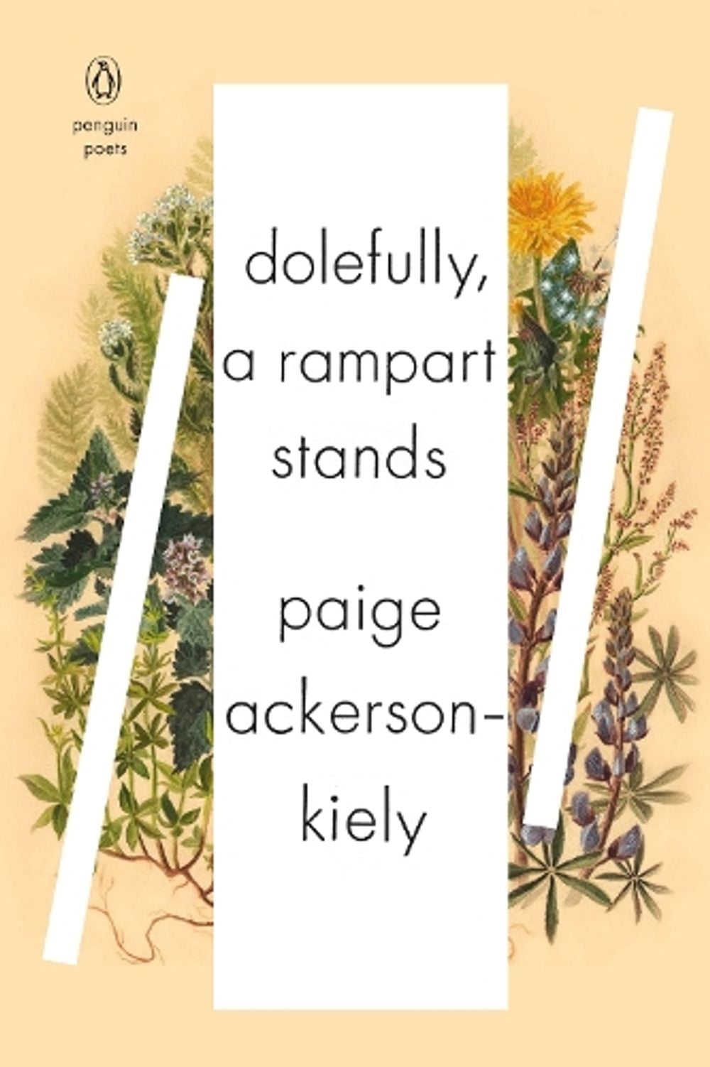 Dolefully, A Rampart Stands by Paige Ackerson-Kiely - ISBN: 9780143132684