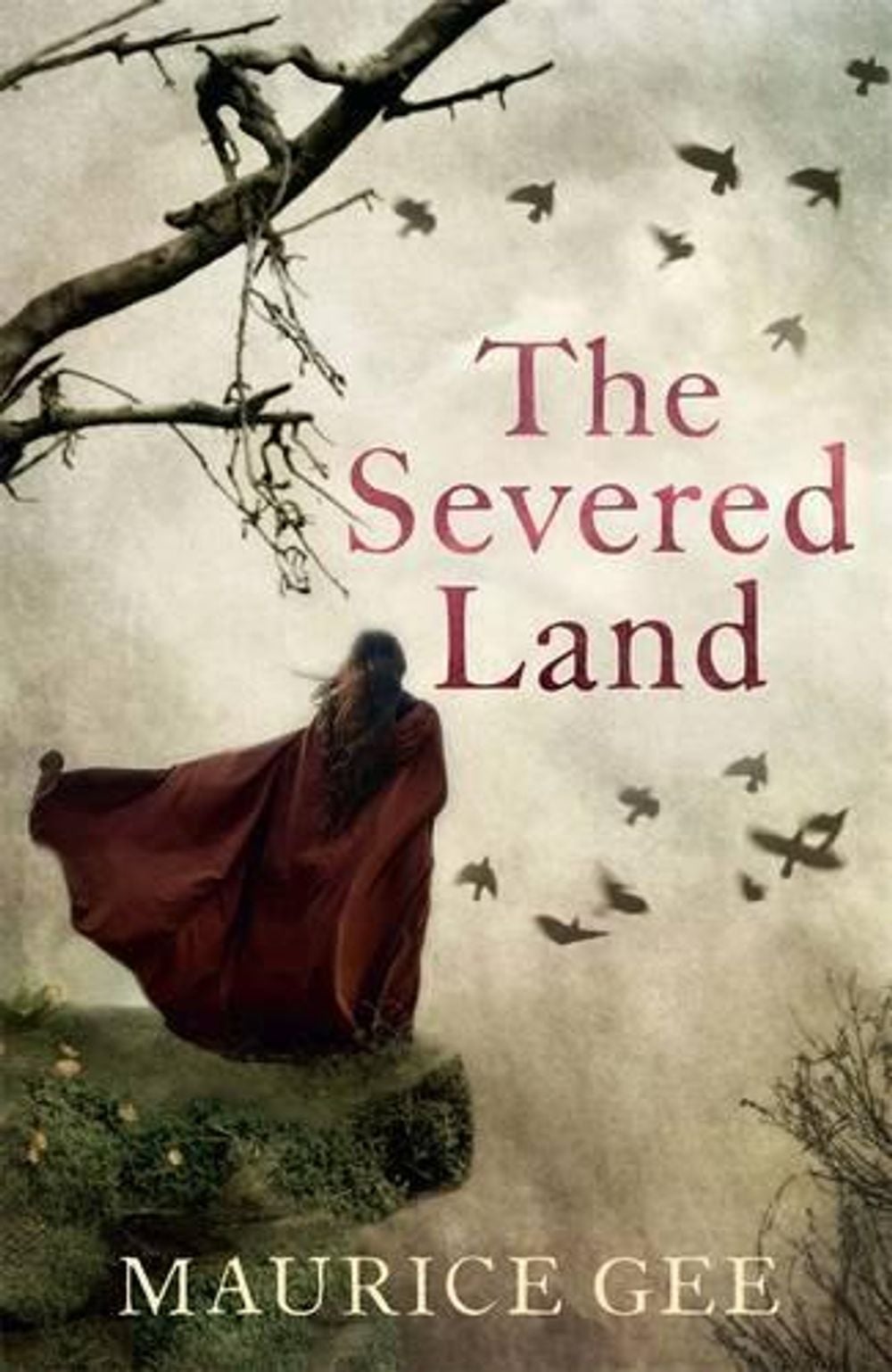 The Severed Land by Maurice Gee - ISBN: 9780143770244