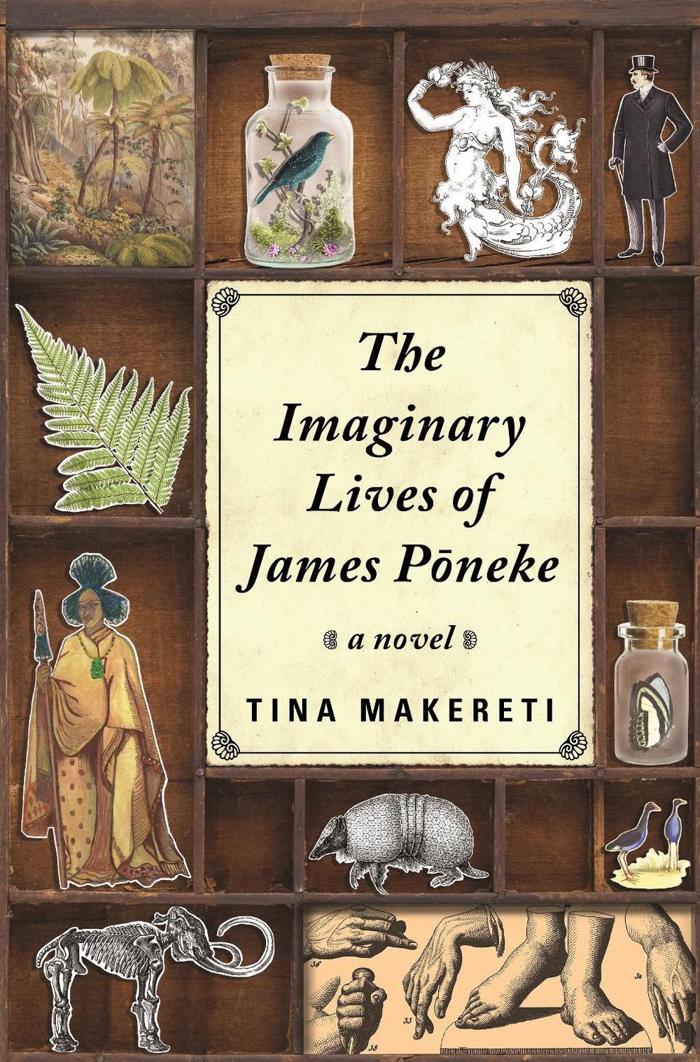 Imaginary Lives of James Poneke, The, 9780143771562