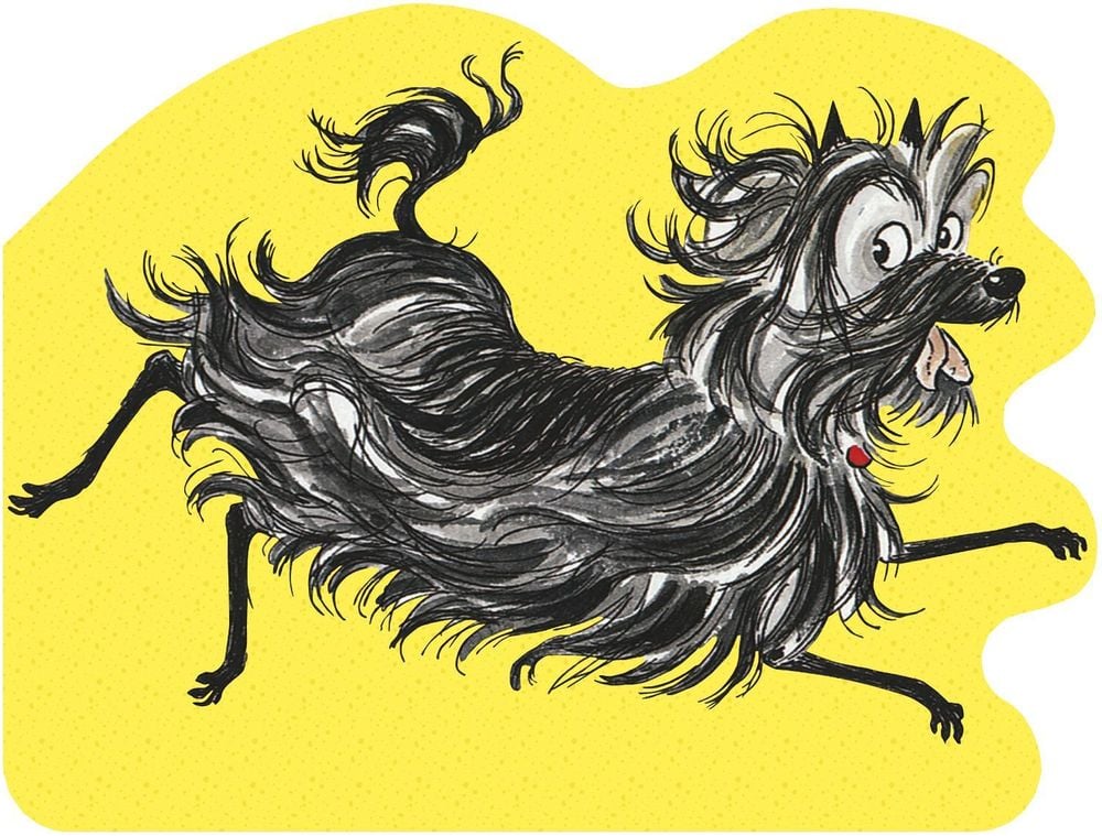 All About Hairy Maclary by Lynley Dodd - ISBN: 9780143775119