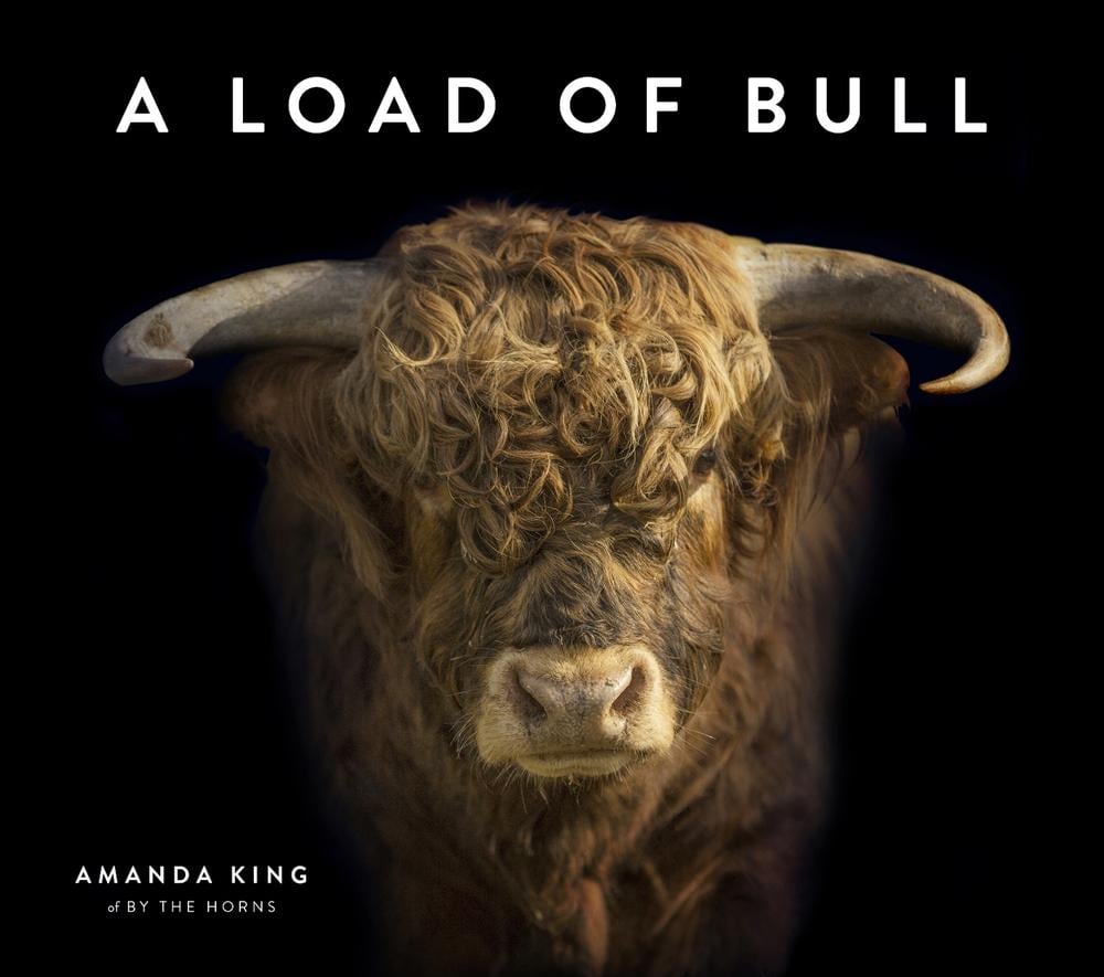 A Load of Bull by Amanda King - ISBN: 9780143776741