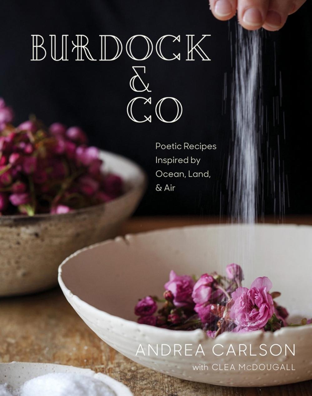 Burdock & Co by Andrea Carlson - ISBN: 9780147531223