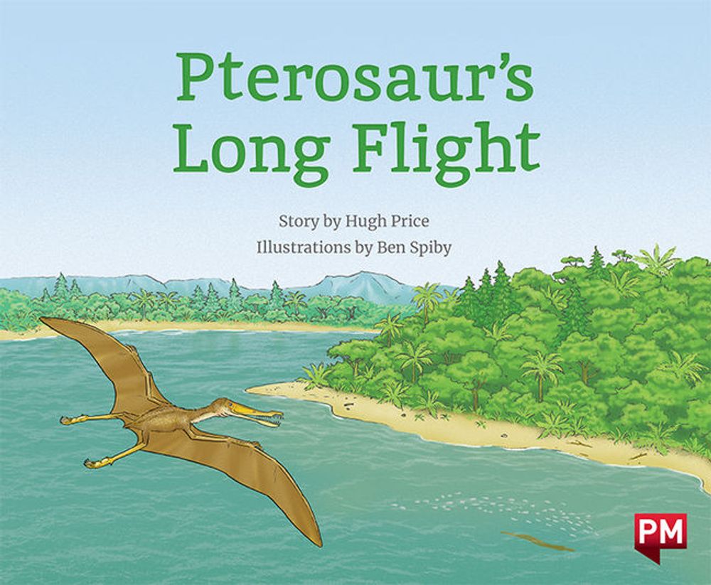 Pterosaur's Long Flight, 2nd Edition by Hugh Price - ISBN: 9780170328142