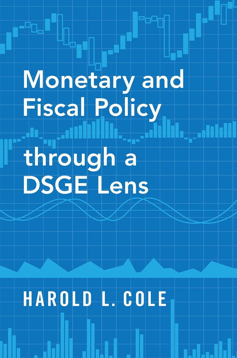 Monetary and Fiscal Policy through a DSGE Lens, 9780190076047
