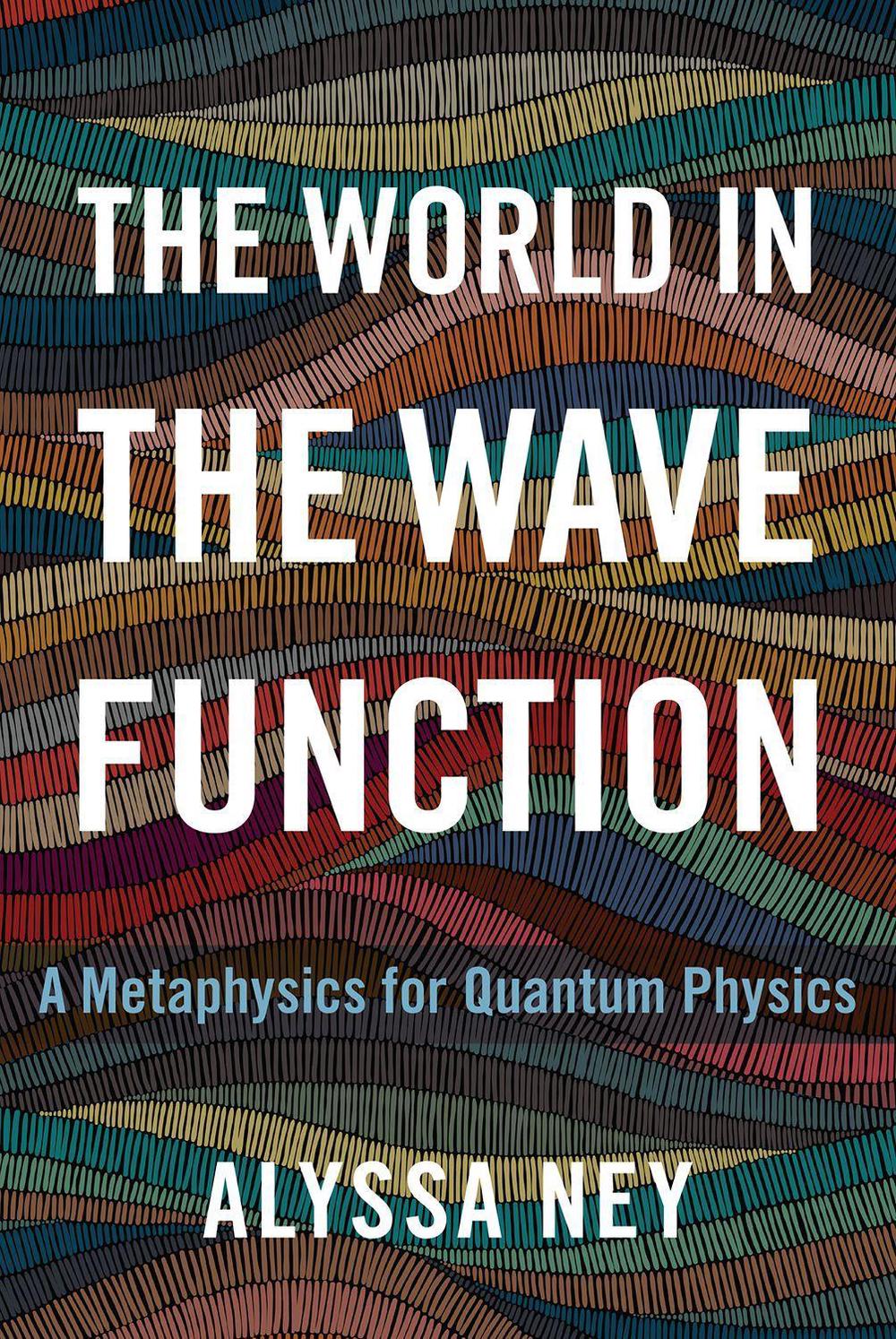 The World in the Wave Function, 9780190097714