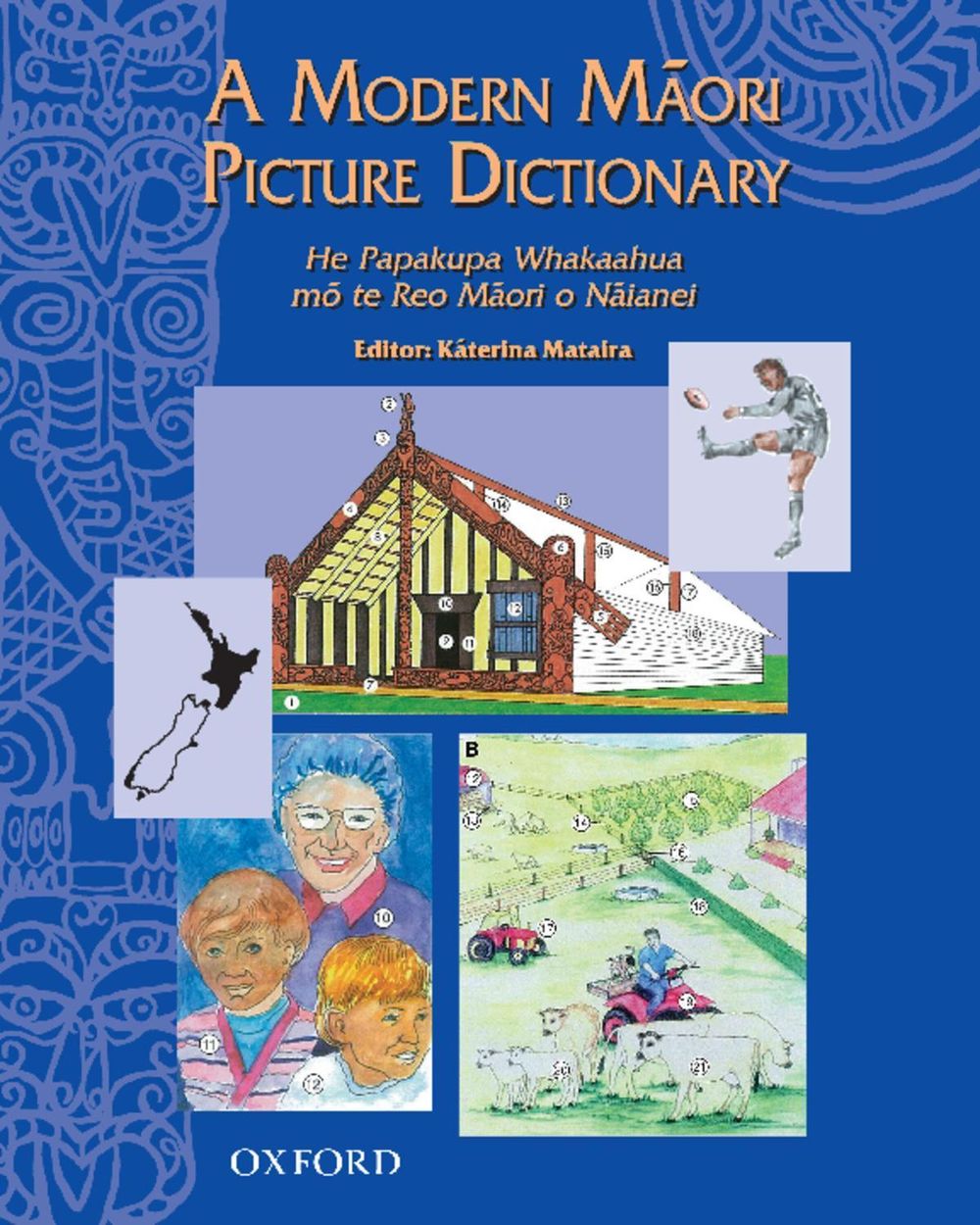 A Modern Maori Picture Dictionary by Dictionary - ISBN: 9780195583540
