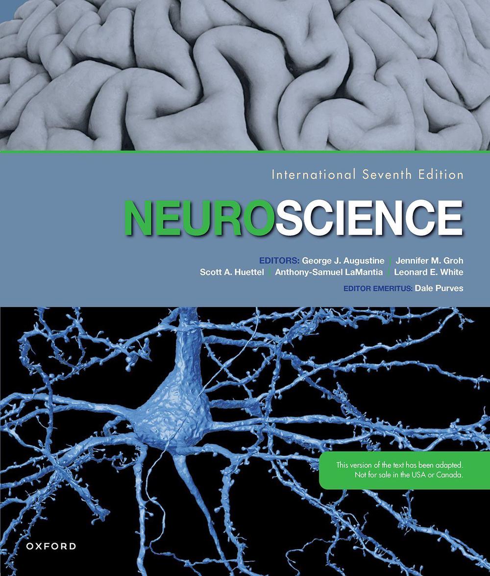 Neuroscience, 7th Edition by George J. Augustine - ISBN: 9780197572511