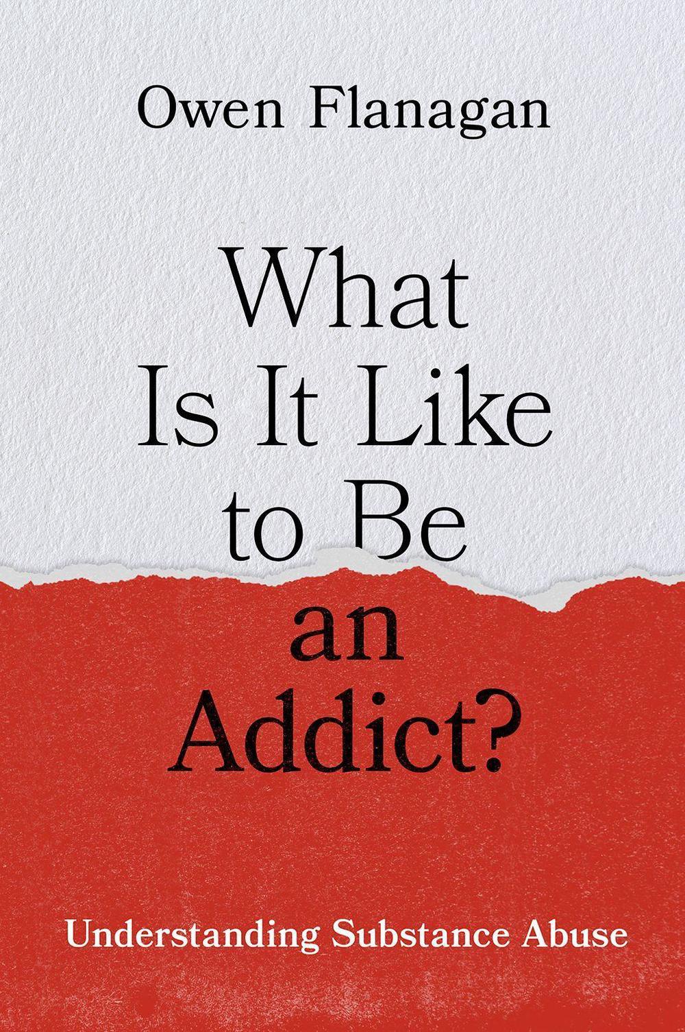 What Is It Like to Be an Addict?, 9780199388929