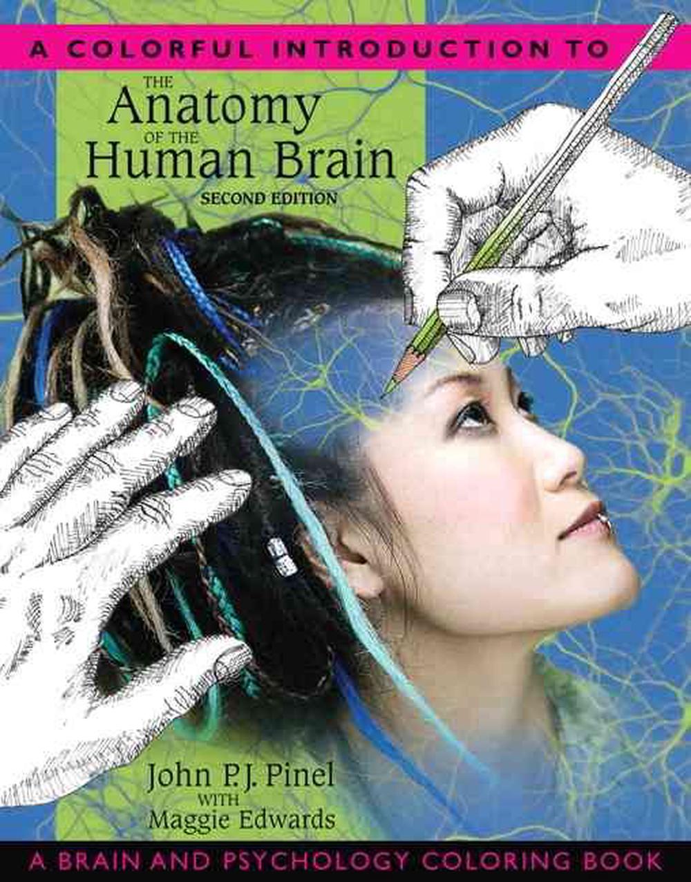 Brain, Encyclopedia, , Learn anatomy
