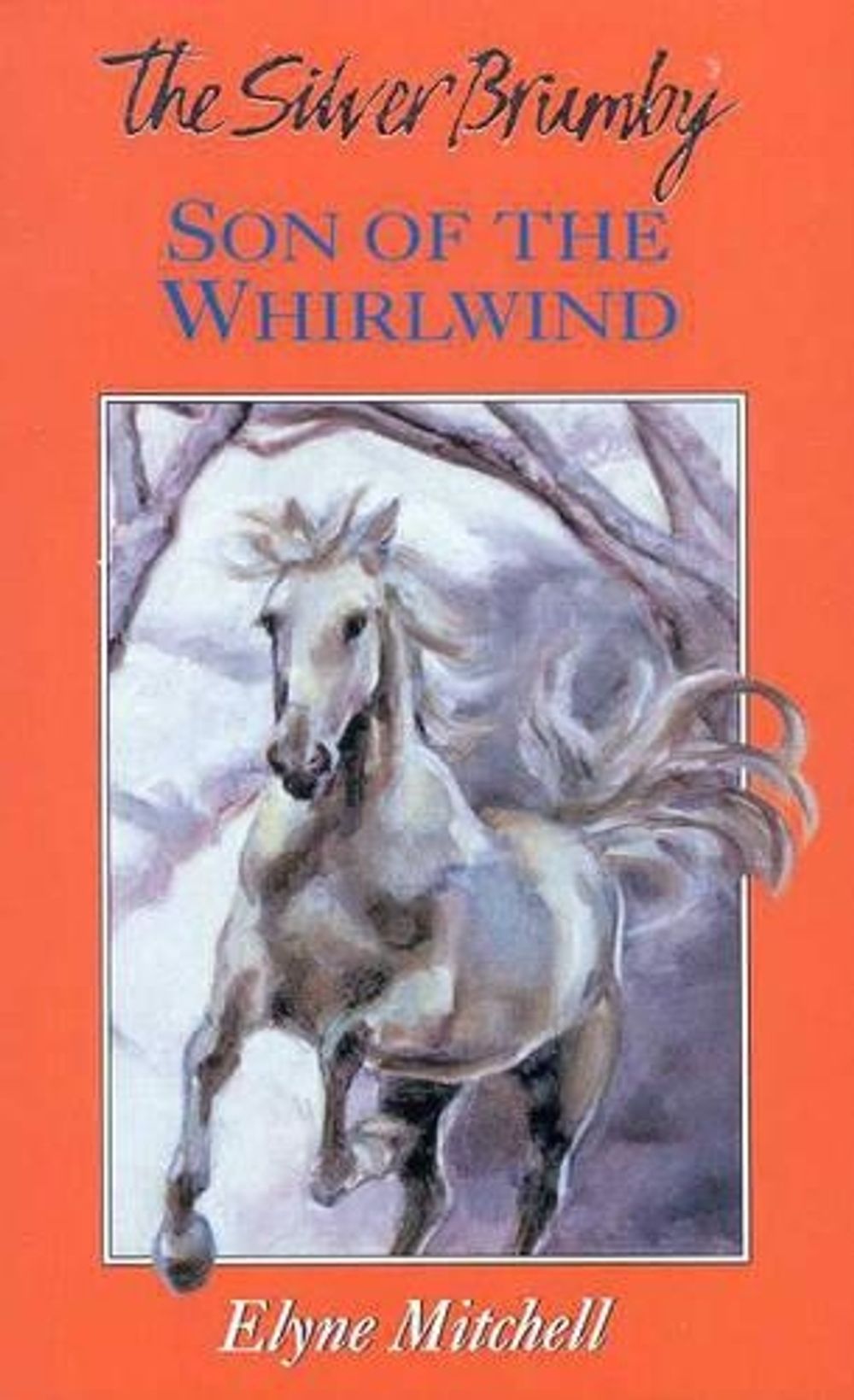 Son of the Whirlwind by Elyne Mitchell - ISBN: 9780207197055
