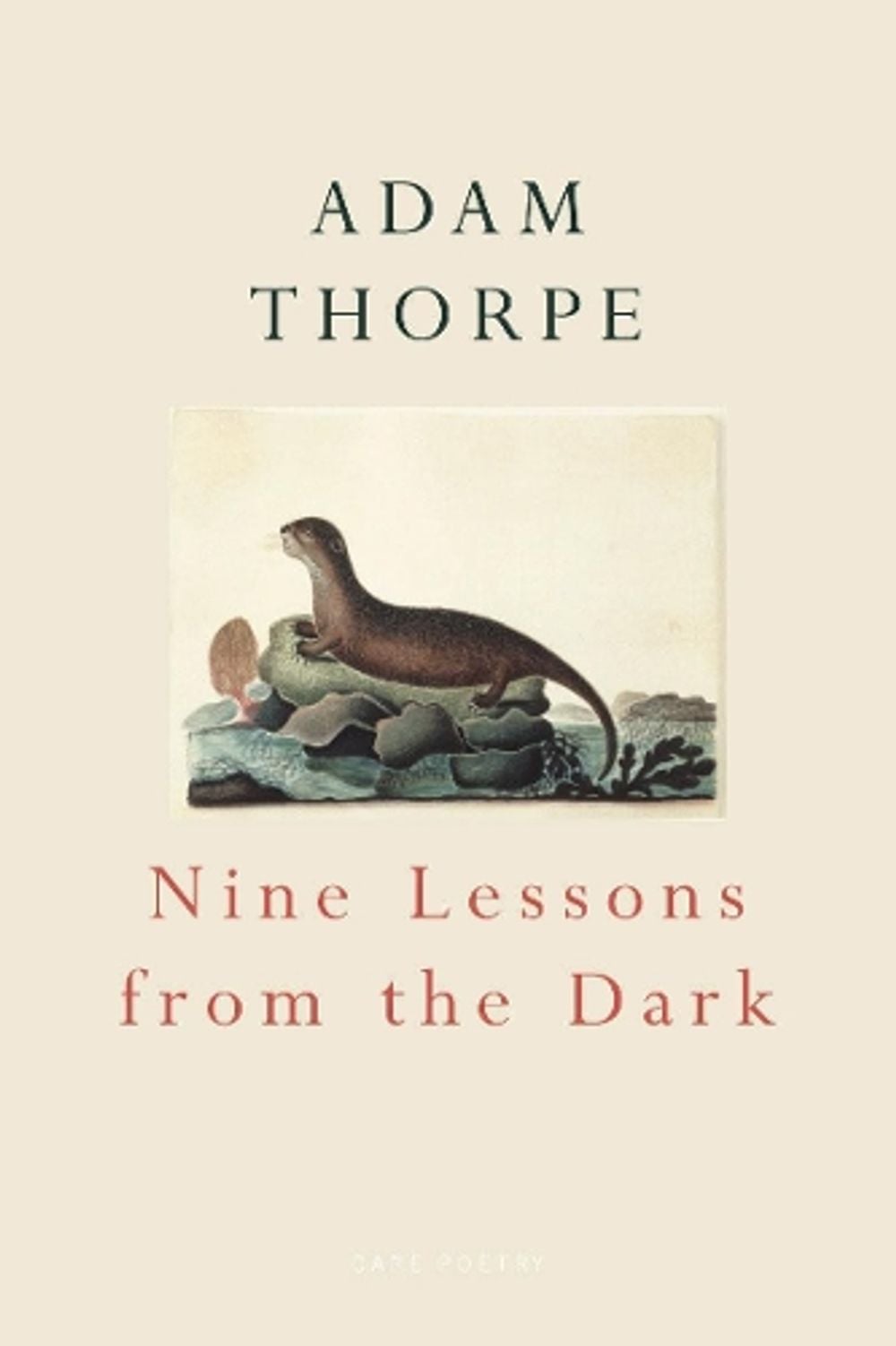 Nine Lessons From The Dark by Adam Thorpe - ISBN: 9780224063852