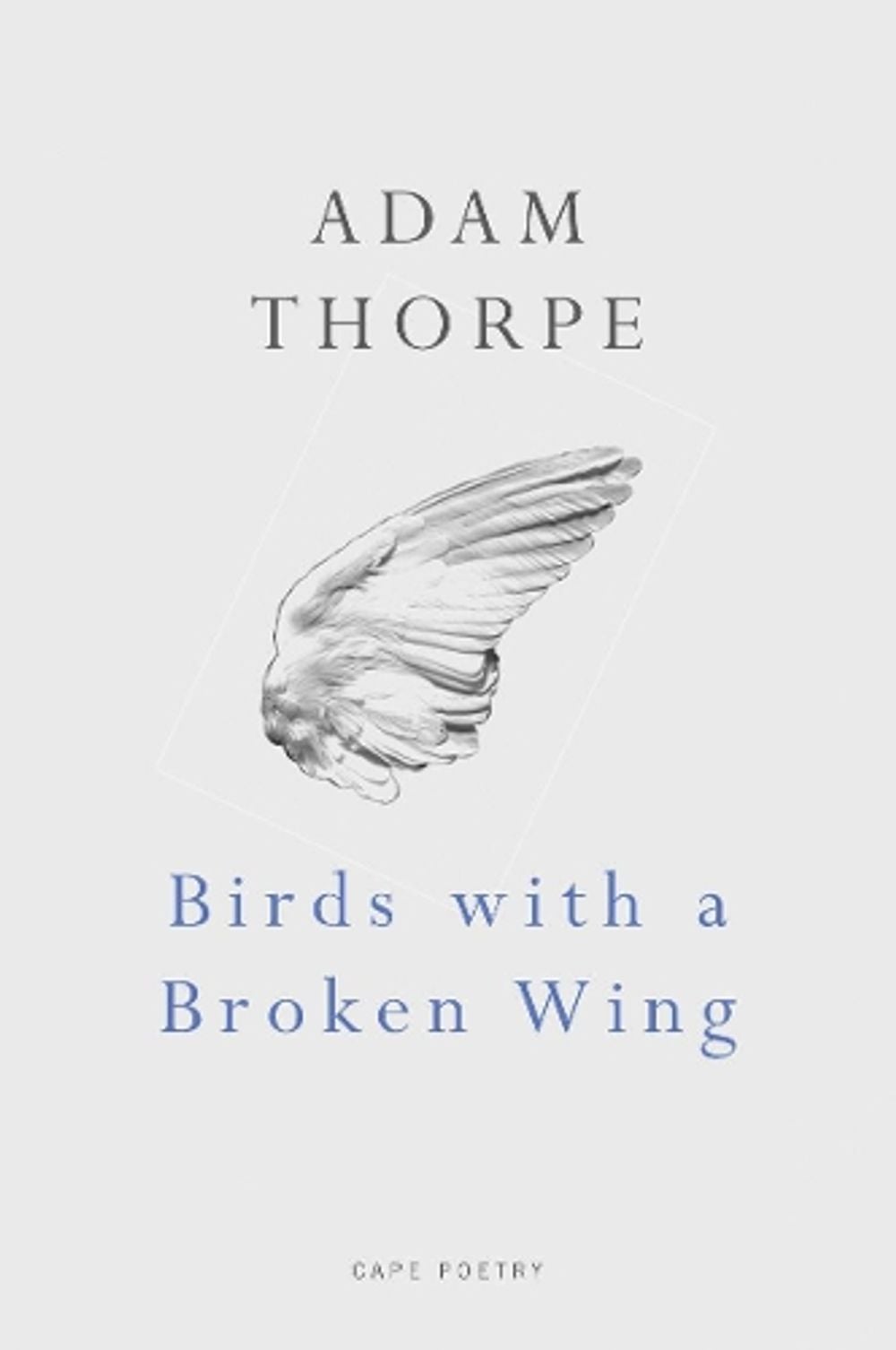 Birds With A Broken Wing by Adam Thorpe - ISBN: 9780224079440