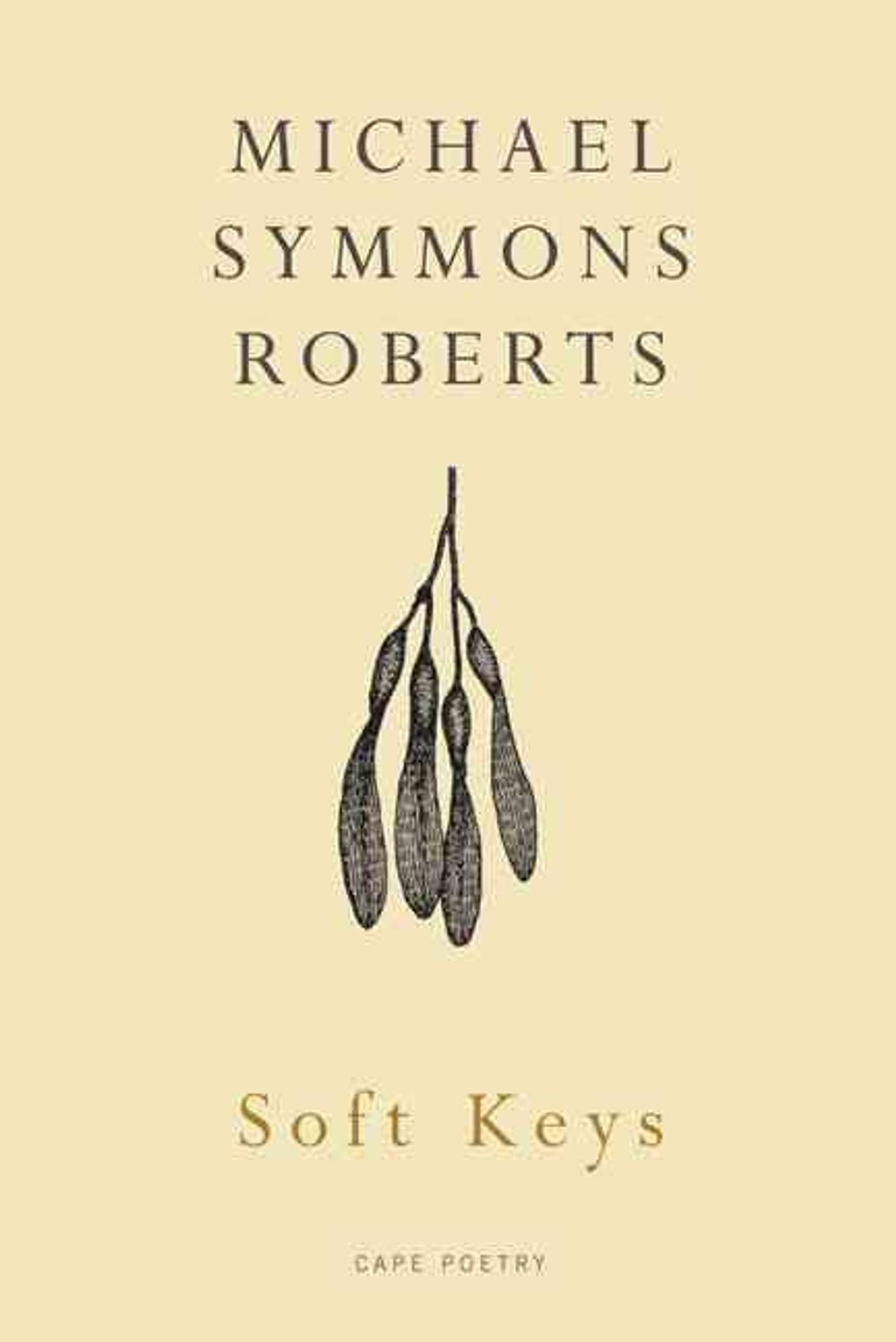 Soft Keys by Michael Symmons Roberts - ISBN: 9780224090018
