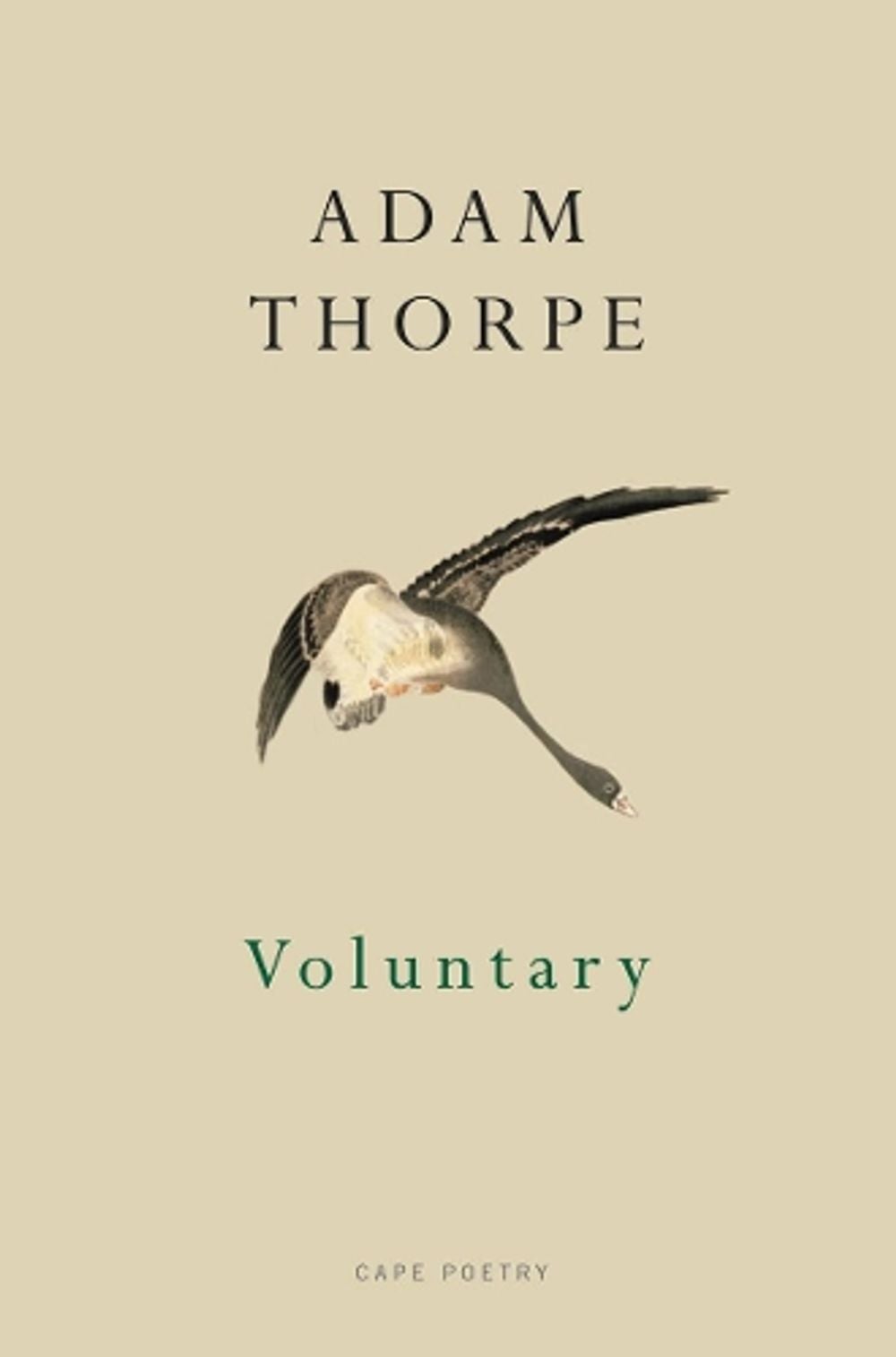 Voluntary by Adam Thorpe - ISBN: 9780224094177