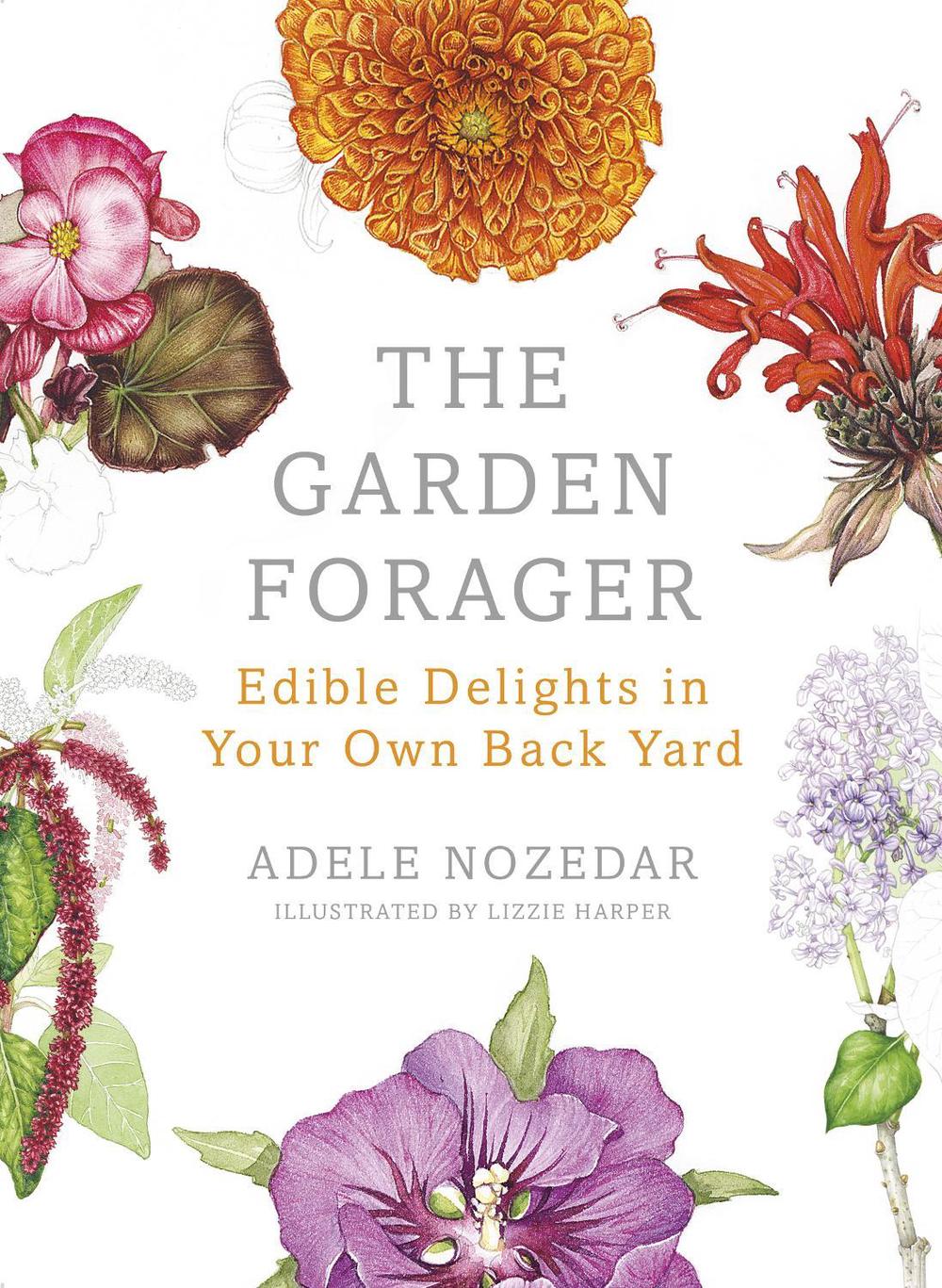 The Garden Forager by Adele Nozedar - ISBN: 9780224098892