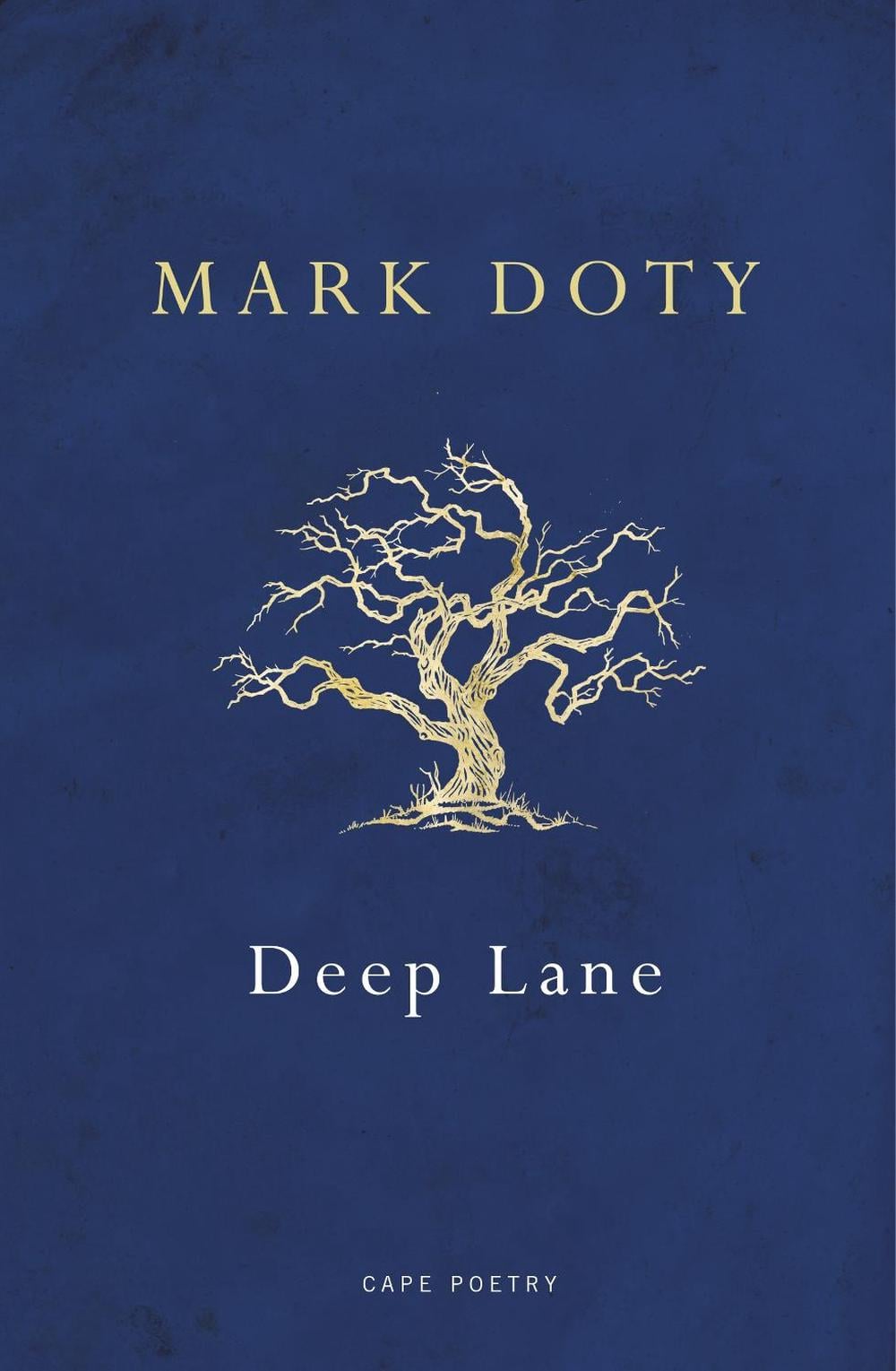 Deep Lane by Mark Doty - ISBN: 9780224099837