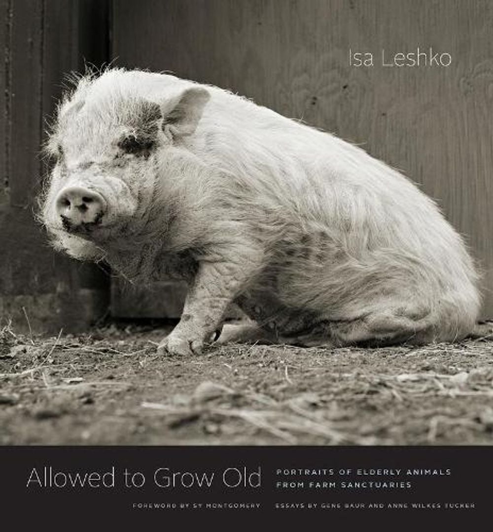 Allowed to Grow Old by Isa Leshko - ISBN: 9780226391373