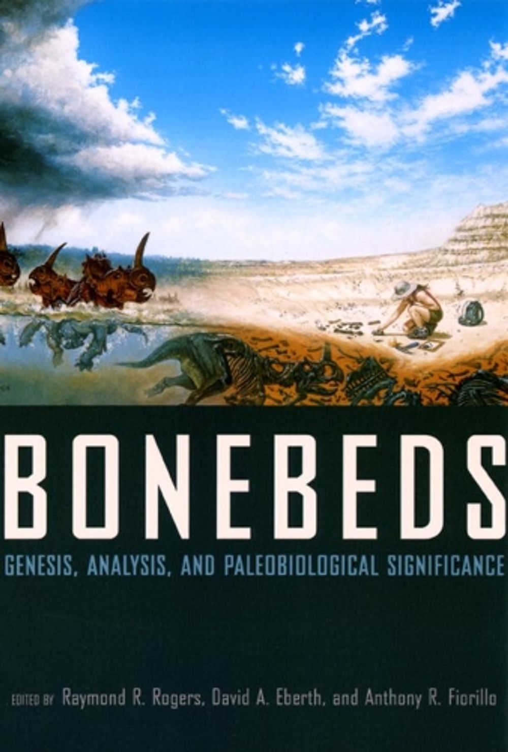 Bonebeds by Raymond R. Rogers - ISBN: 9780226723716