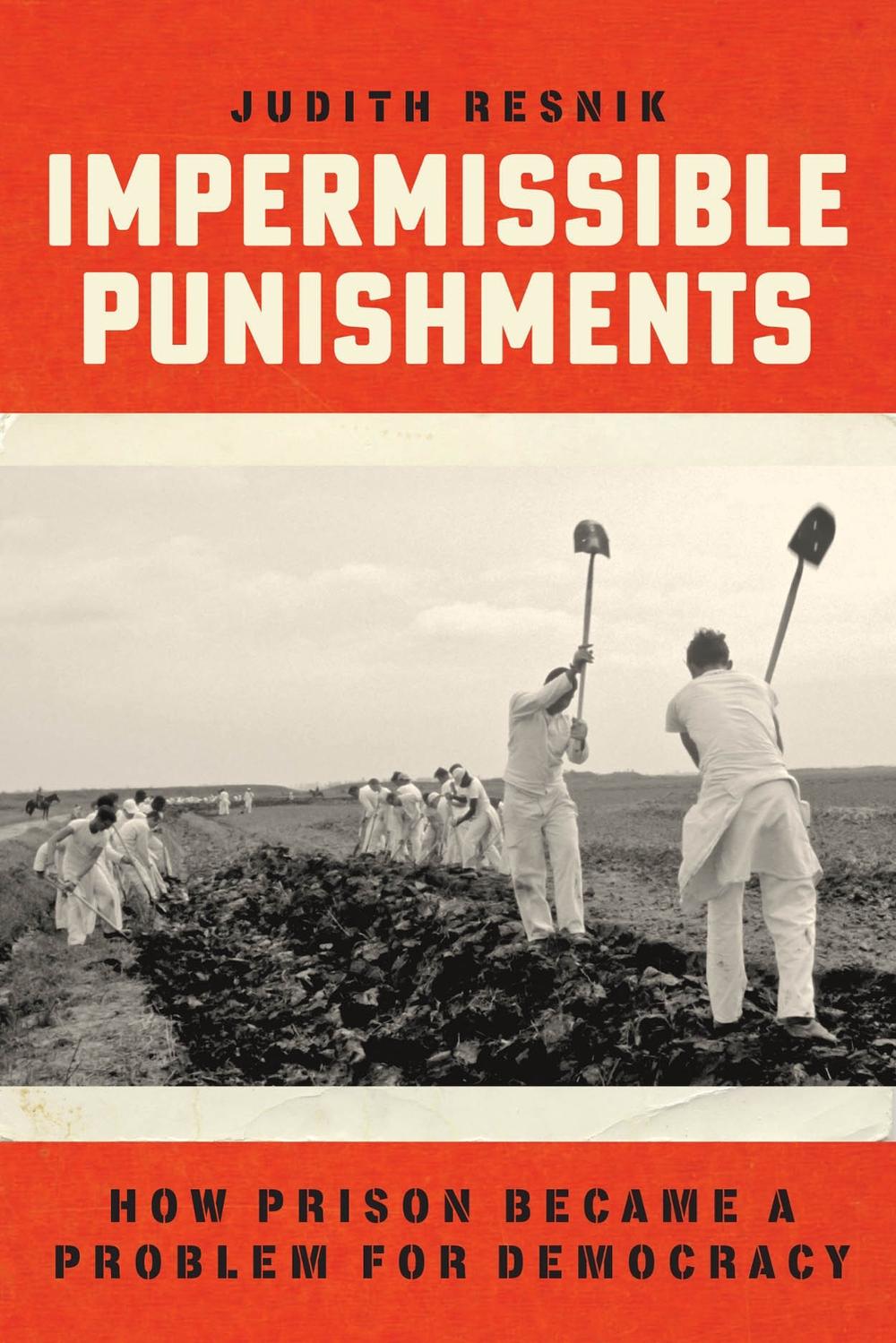 Impermissible Punishments, 9780226754741