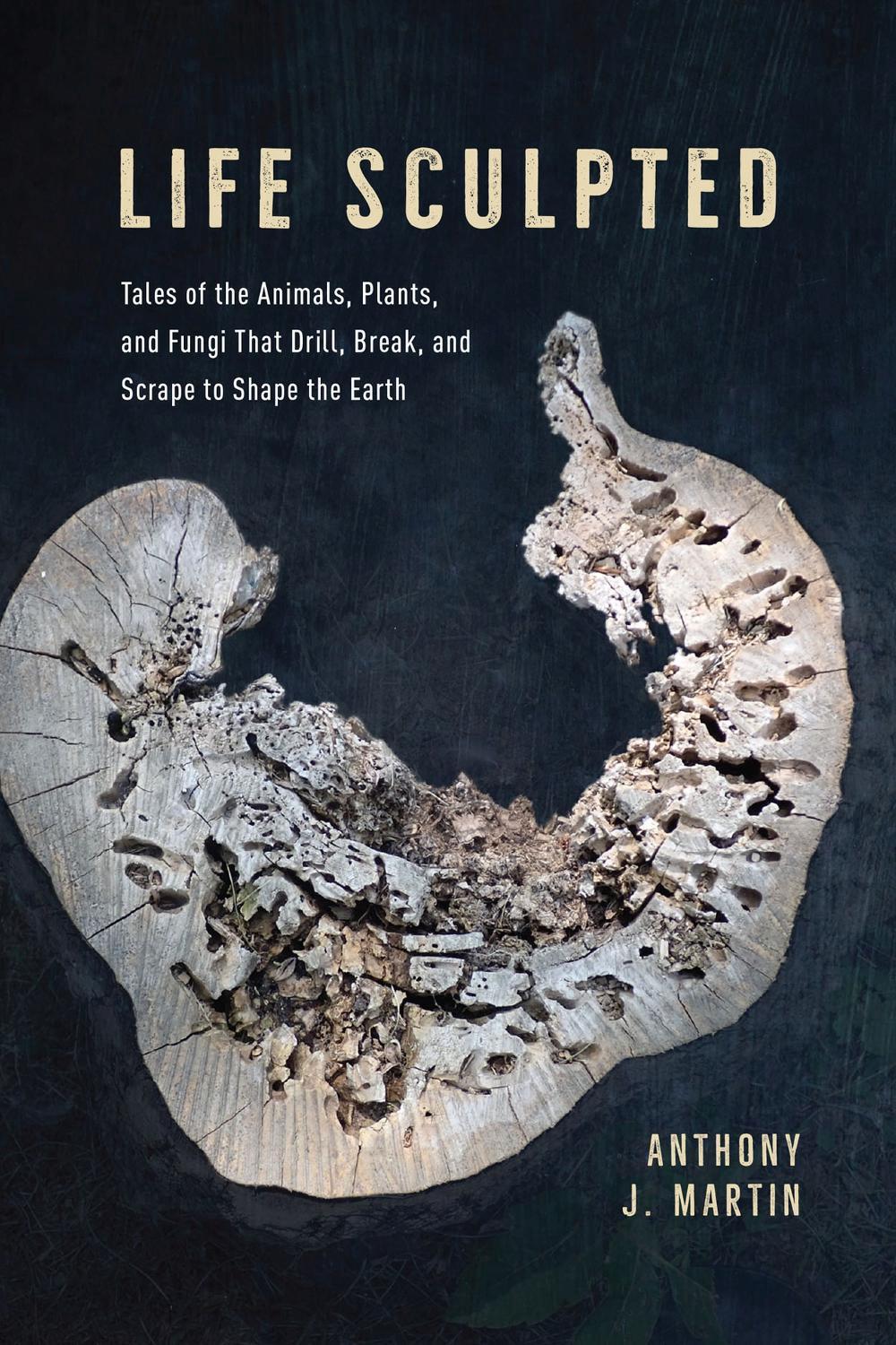 Life Sculpted, 1st Edition by Anthony J. Martin - ISBN: 9780226810478