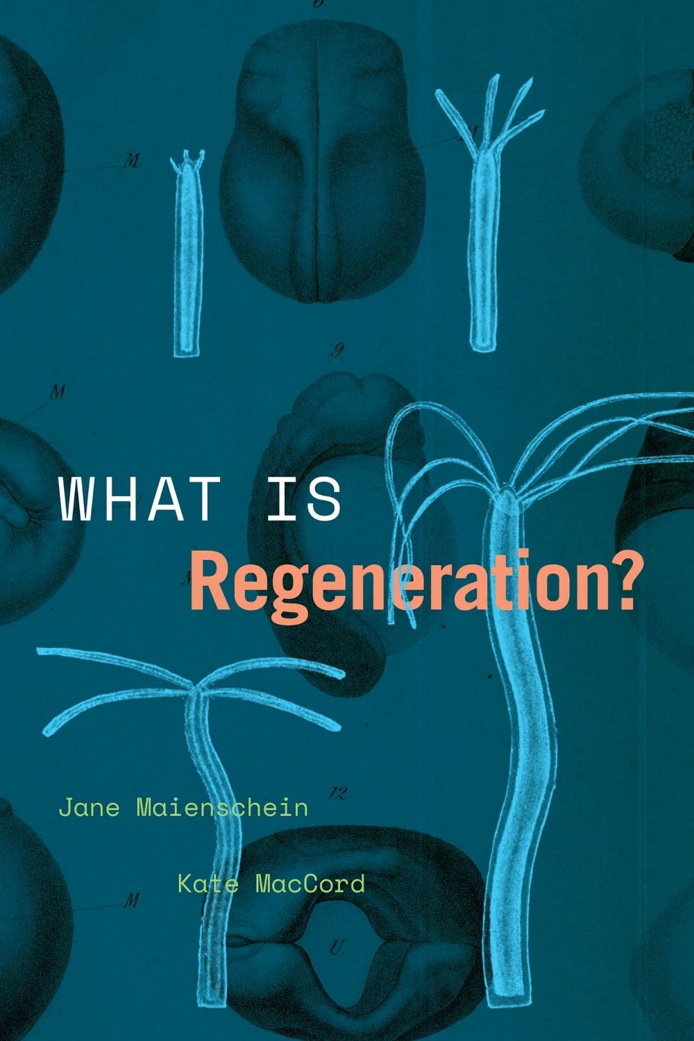 What Is Regeneration?, 1st Edition by Kate MacCord - ISBN: 9780226816562