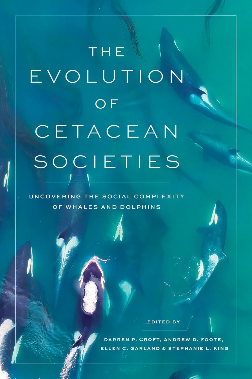 The Evolution of Cetacean Societies by Darren P. Croft - ISBN: 9780226840574