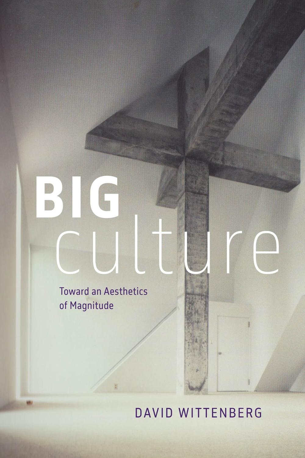 Big Culture, 9780226842929