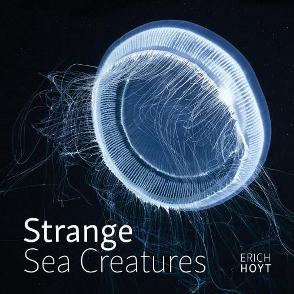 Strange Sea Creatures by Erich Hoyt - ISBN: 9780228102977
