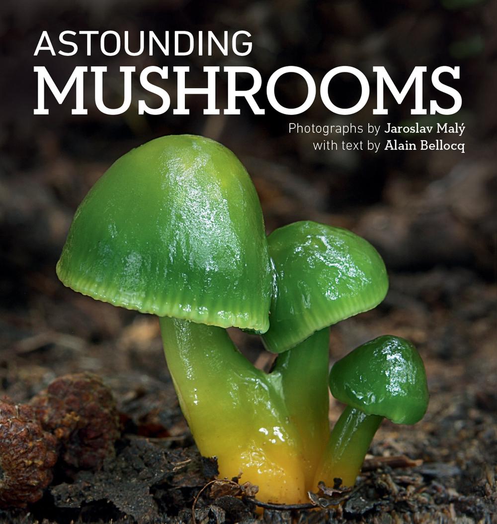 Astounding Mushrooms, 9780228103868