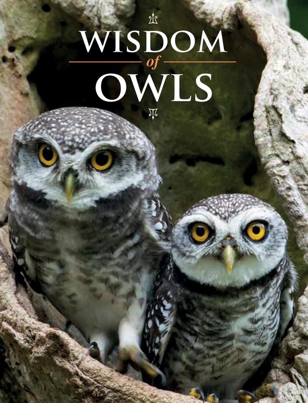 Wisdom of Owls, 9780228105107