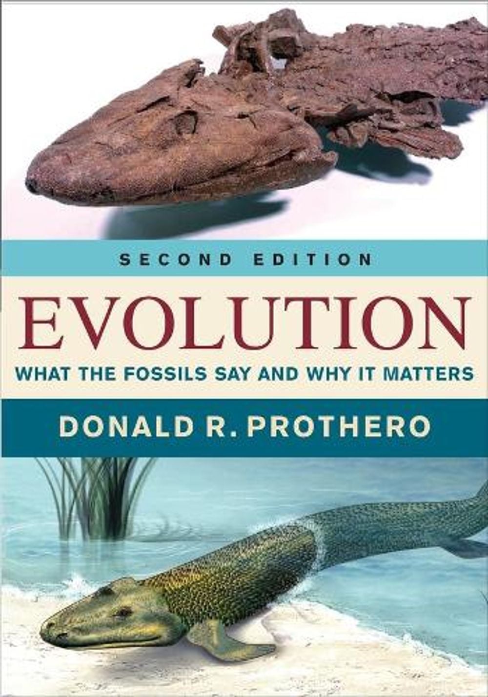 Evolution, 2nd Edition by Donald R. Prothero - ISBN: 9780231180641