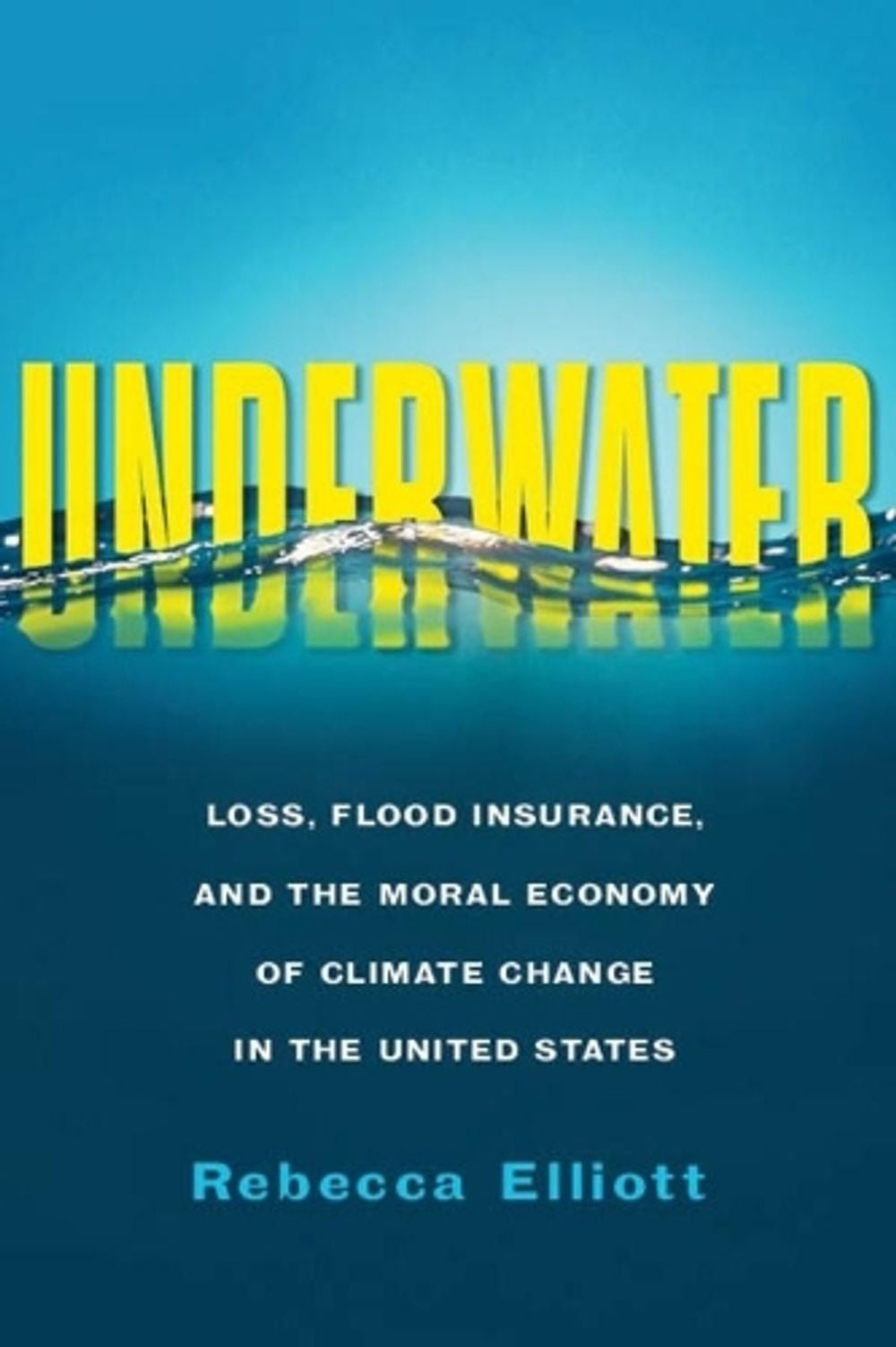 Underwater by Rebecca Elliott - ISBN: 9780231190275