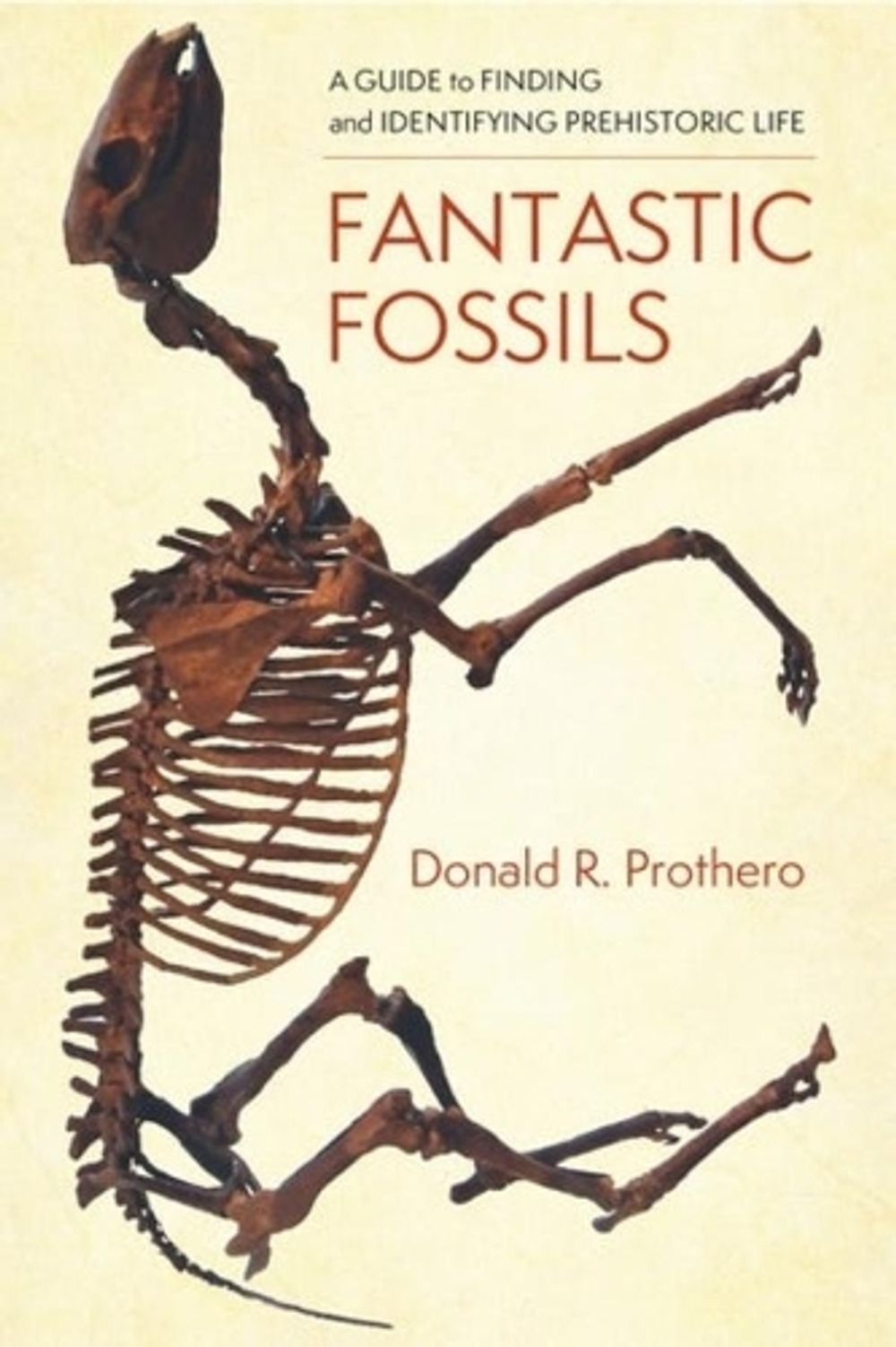 Fantastic Fossils by Donald R. Prothero - ISBN: 9780231195799