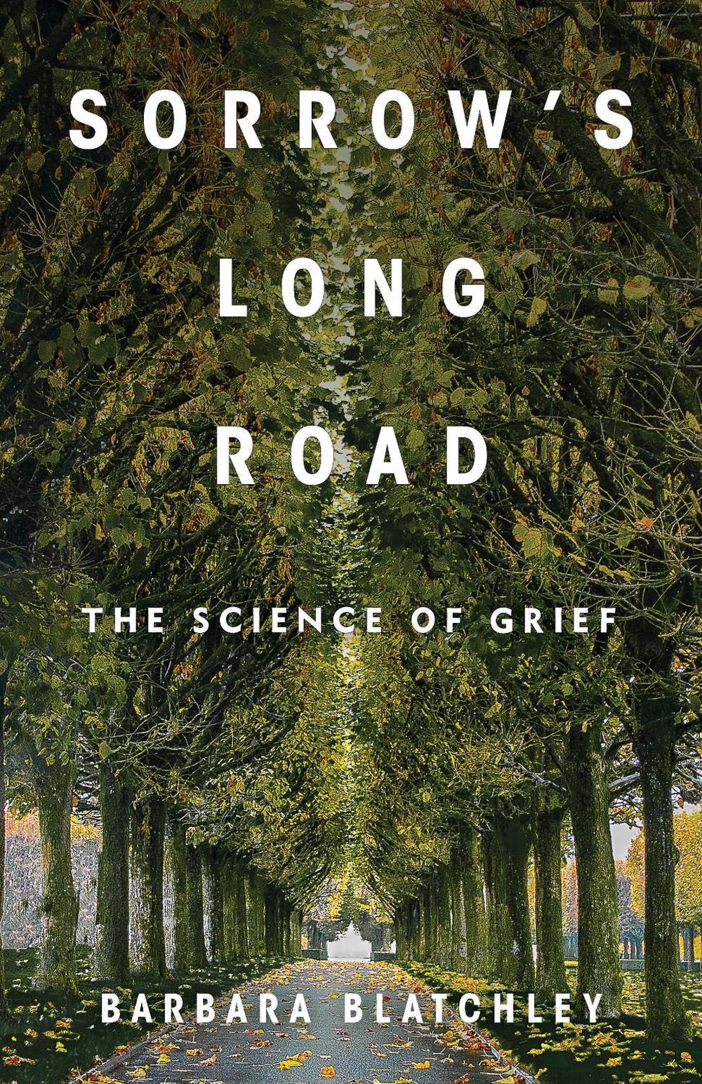 Sorrow's Long Road by Barbara Blatchley - ISBN: 9780231222501