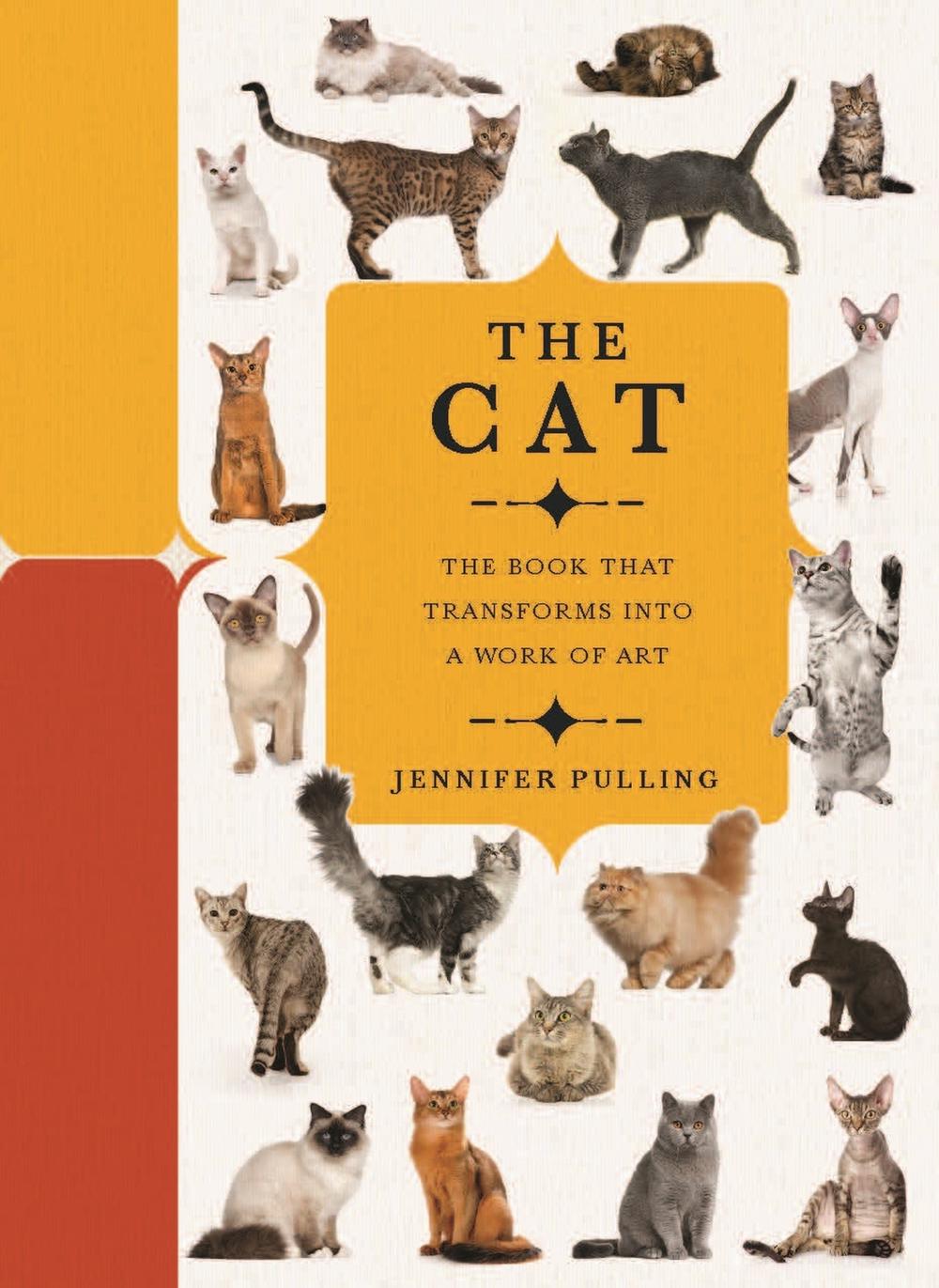 Paperscapes: The Cat by Jennifer Pulling - ISBN: 9780233005829