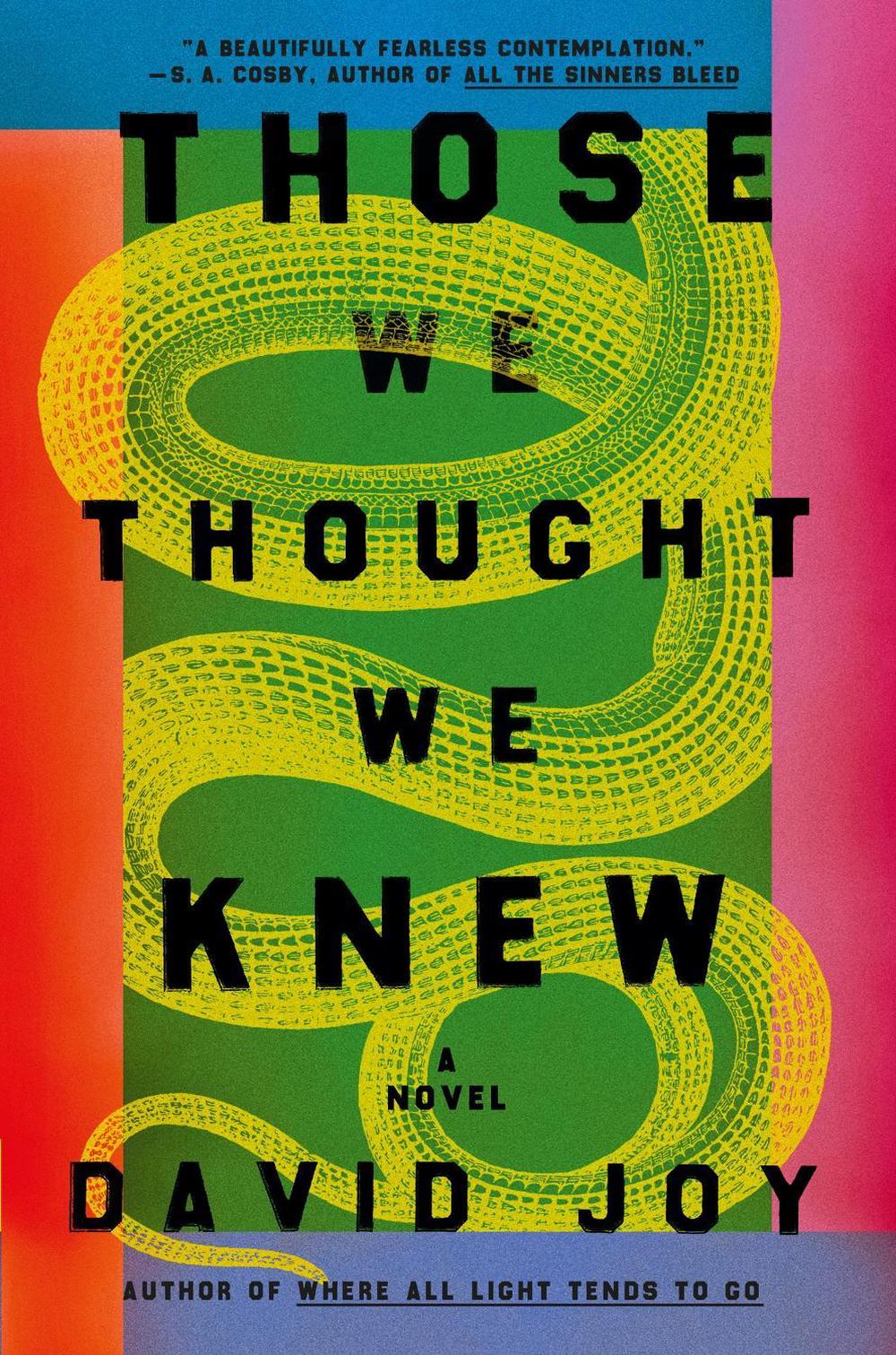 Those We Thought We Knew by David Joy - ISBN: 9780233006512