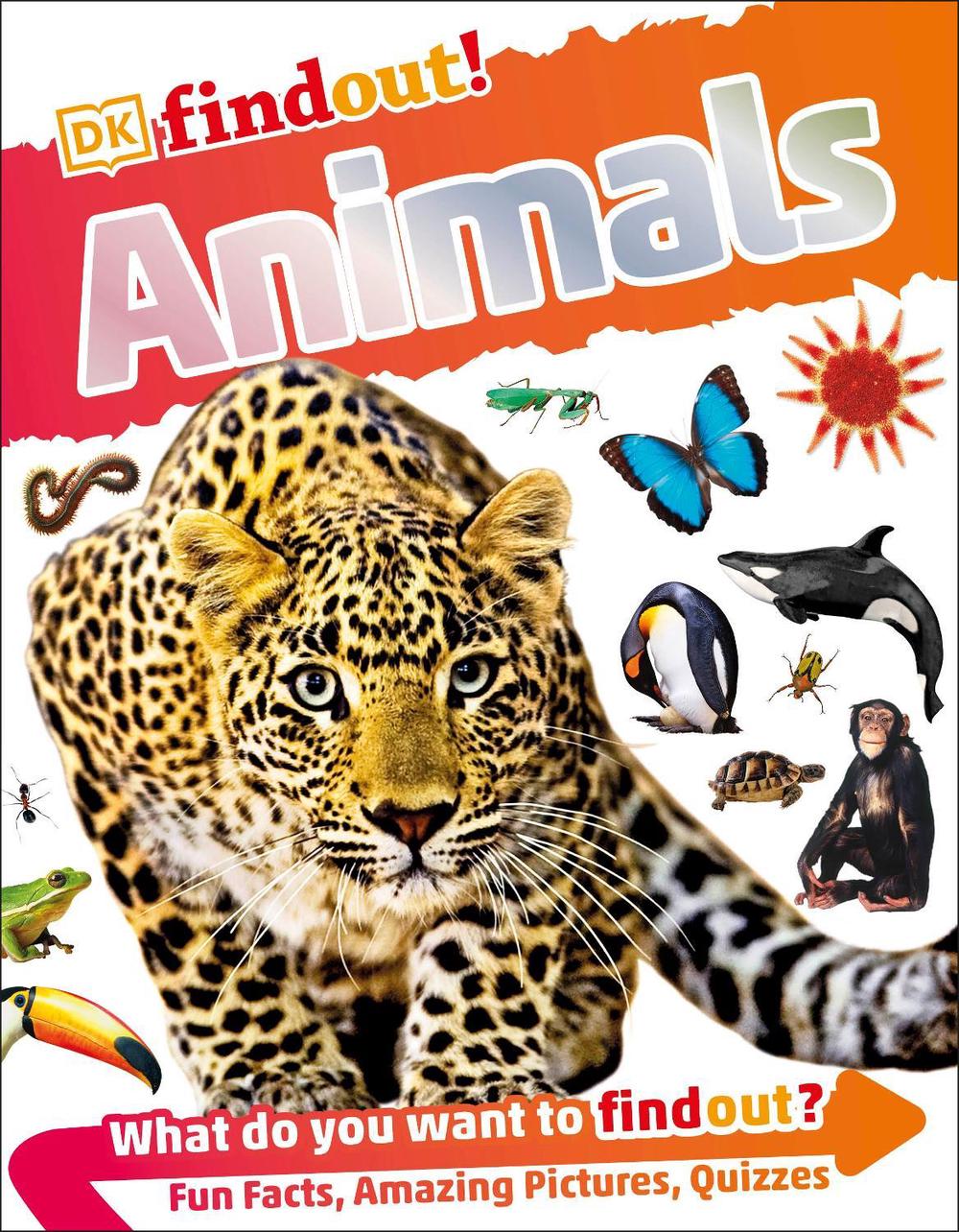 DKfindout! Animals by DK - ISBN: 9780241250259