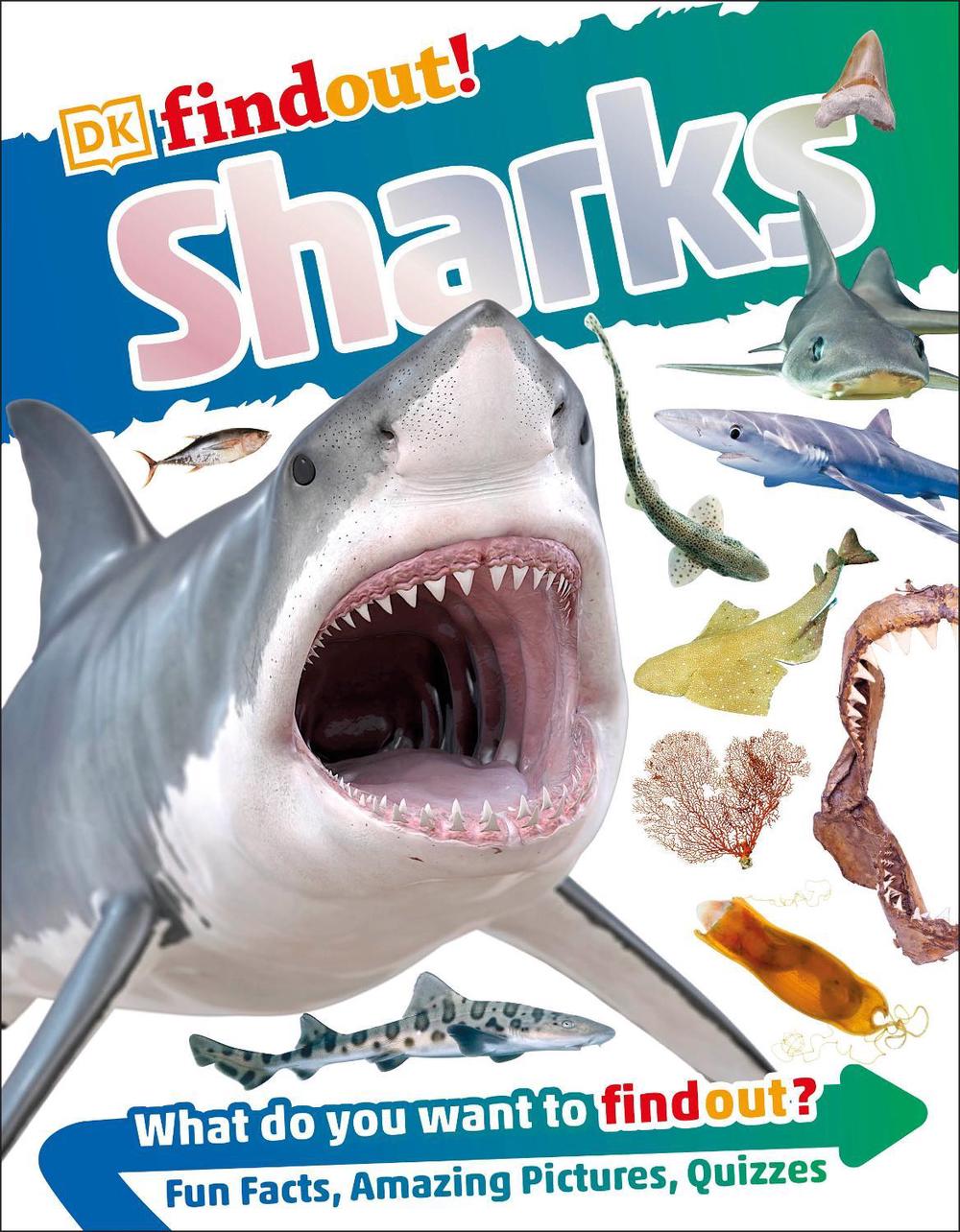 DKfindout! Sharks by DK - ISBN: 9780241282731