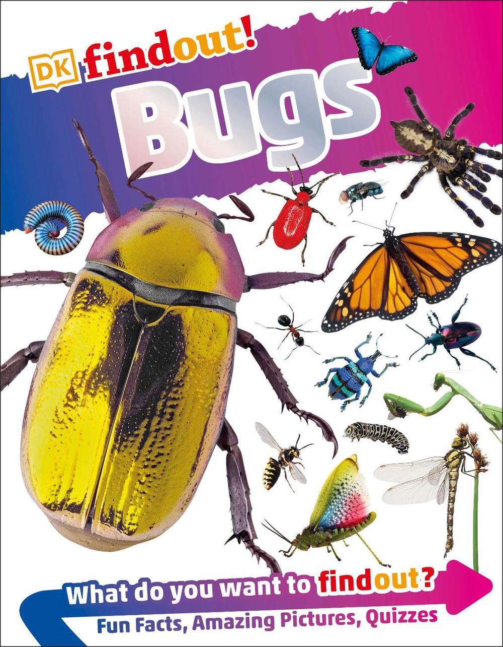 DKfindout! Bugs by DK - ISBN: 9780241284735