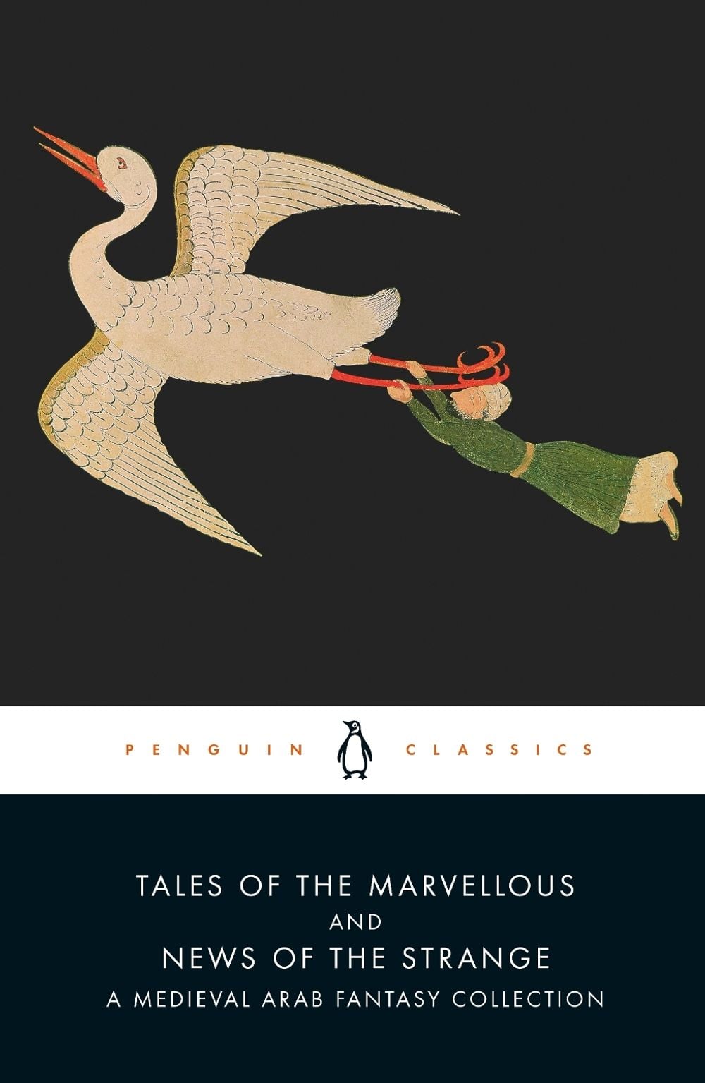 Tales of the Marvellous and News of the Strange by Malcolm Lyons - ISBN: 9780241299951
