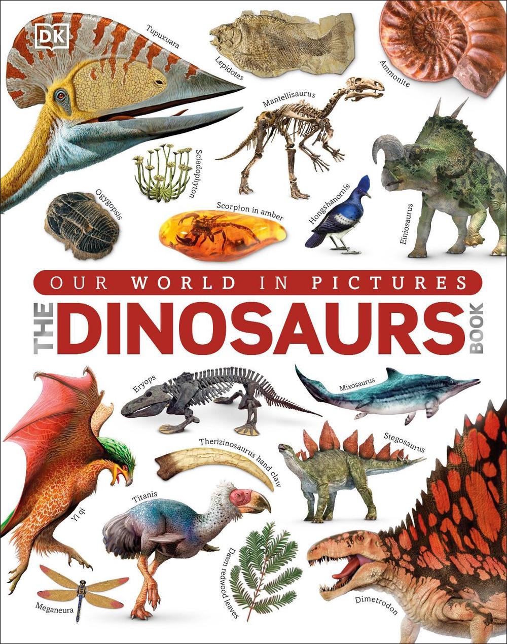 Our World in Pictures The Dinosaurs Book by John Woodward - ISBN: 9780241300077