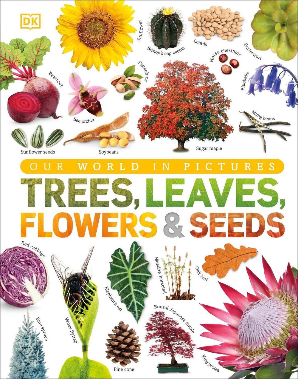 Trees, Leaves, Flowers & Seeds by Smithsonian Institution - ISBN: 9780241339923