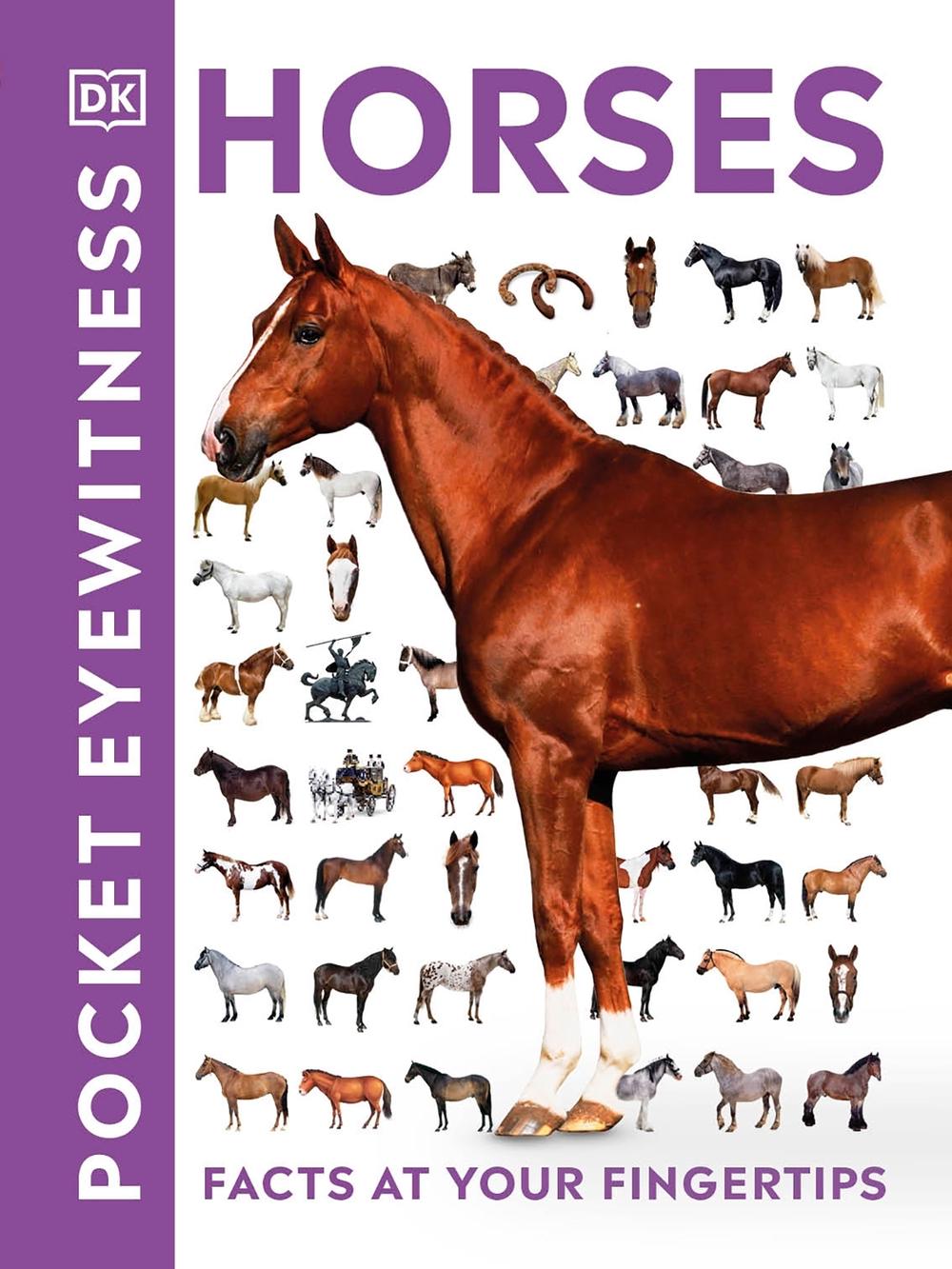 Pocket Eyewitness Horses by DK - ISBN: 9780241343661