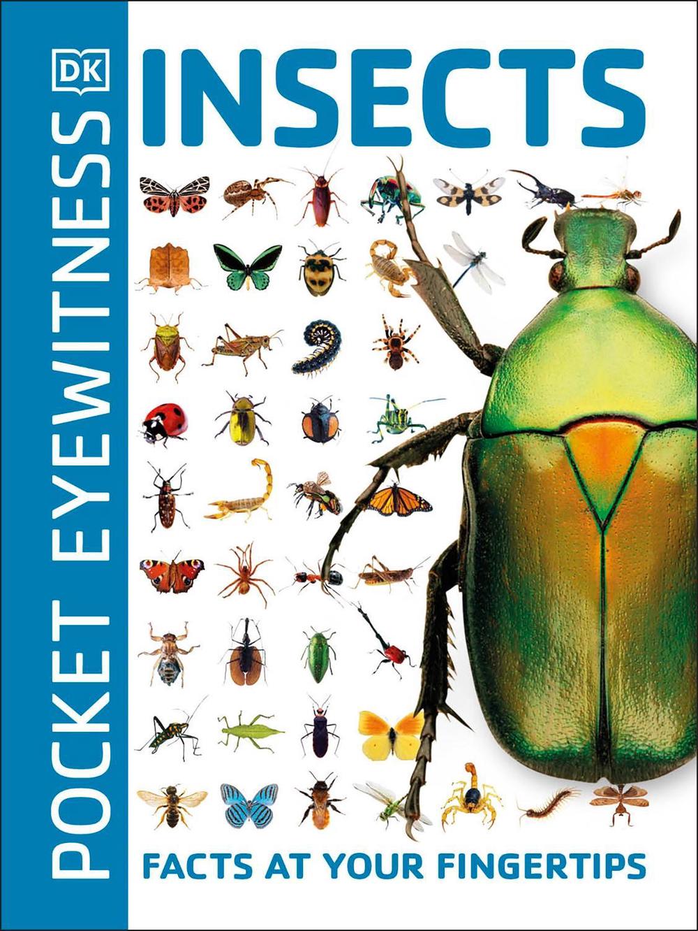 Pocket Eyewitness Insects, 9780241343685
