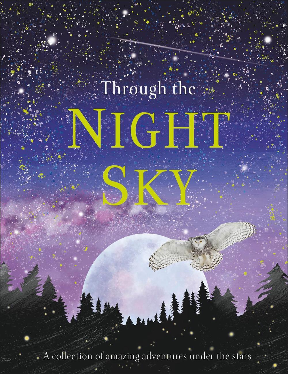 Through the Night Sky by DK - ISBN: 9780241355459